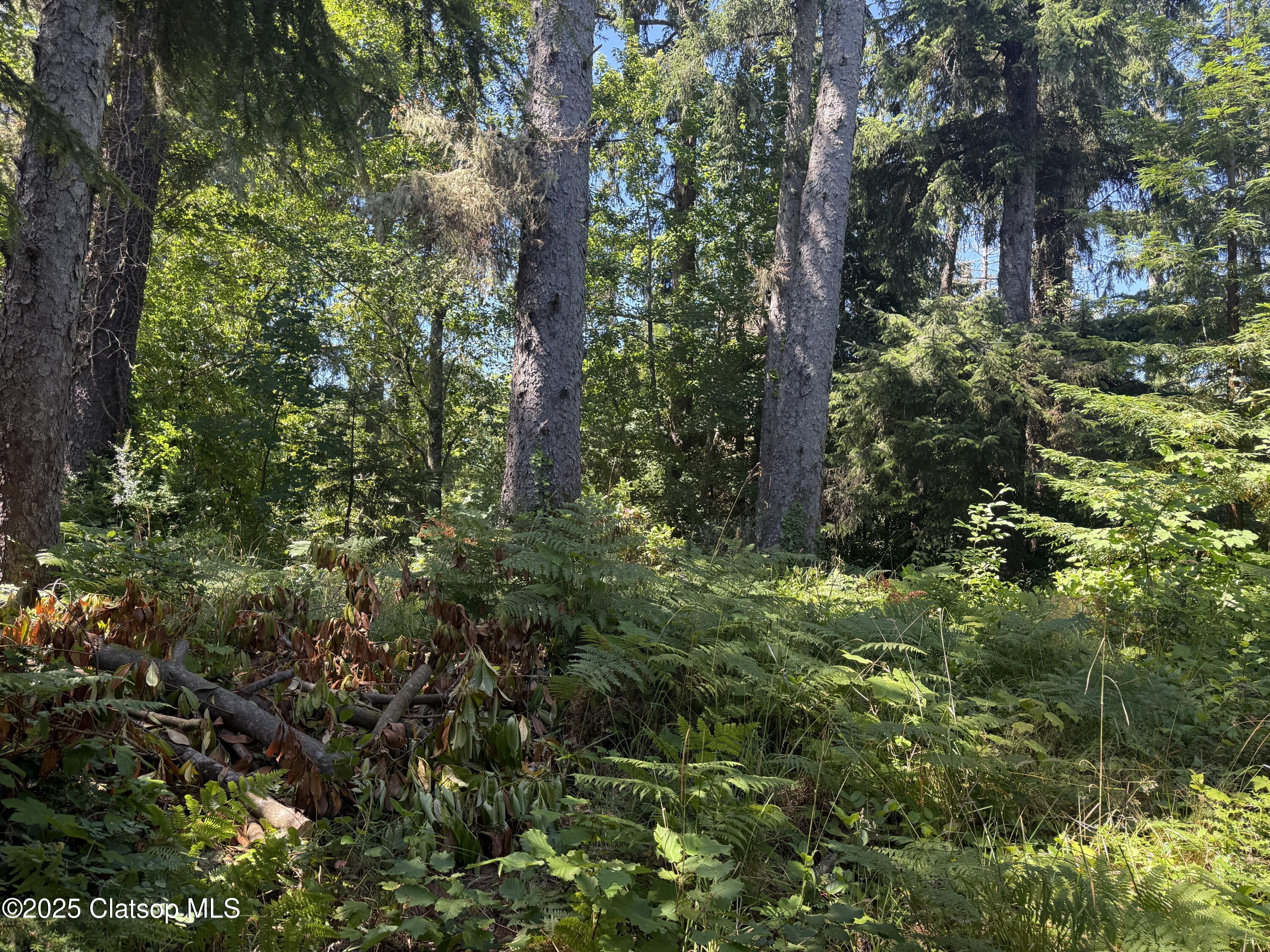 Whiskey Road Property Photo 2