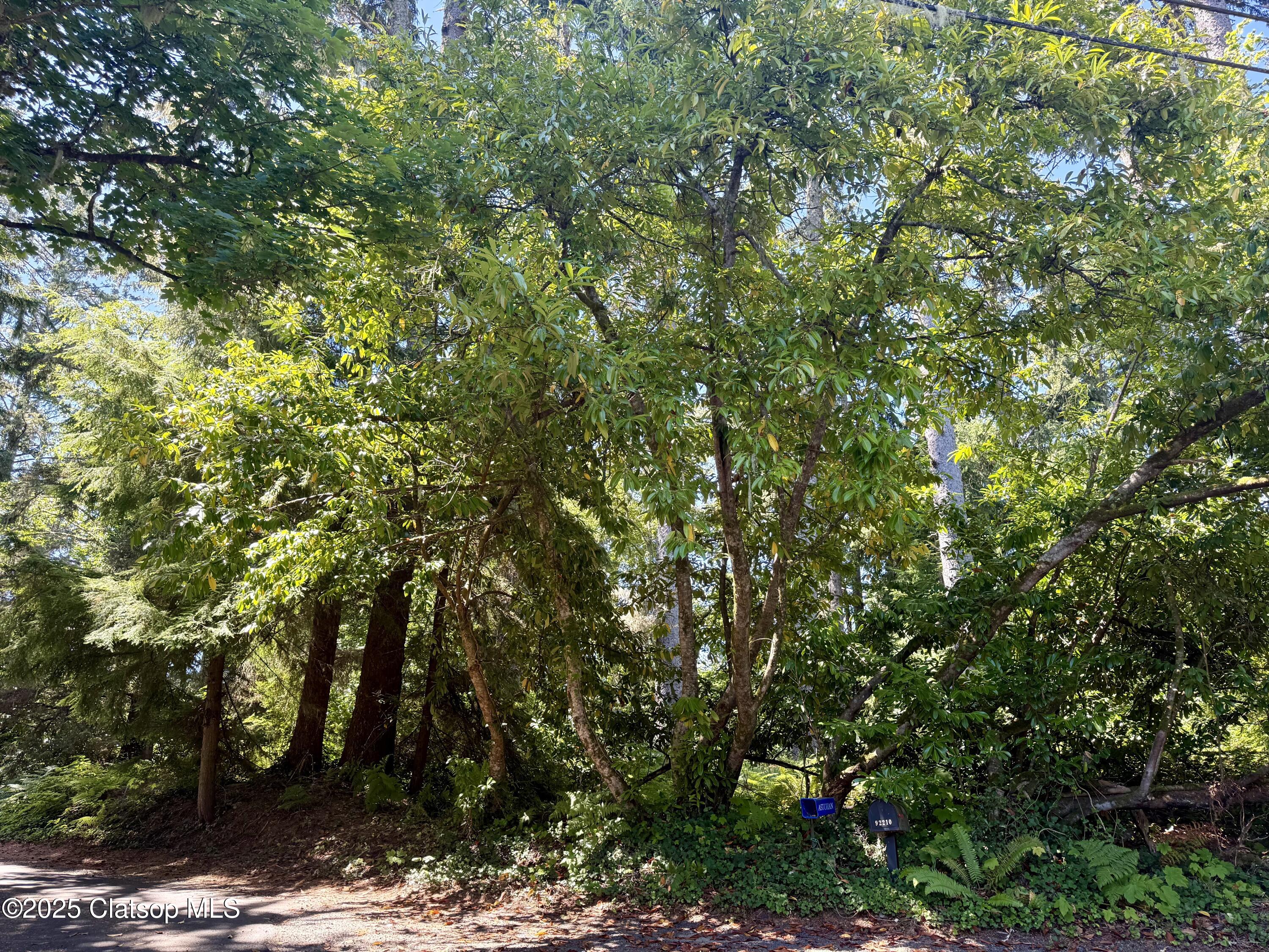 Whiskey Road Property Photo 3