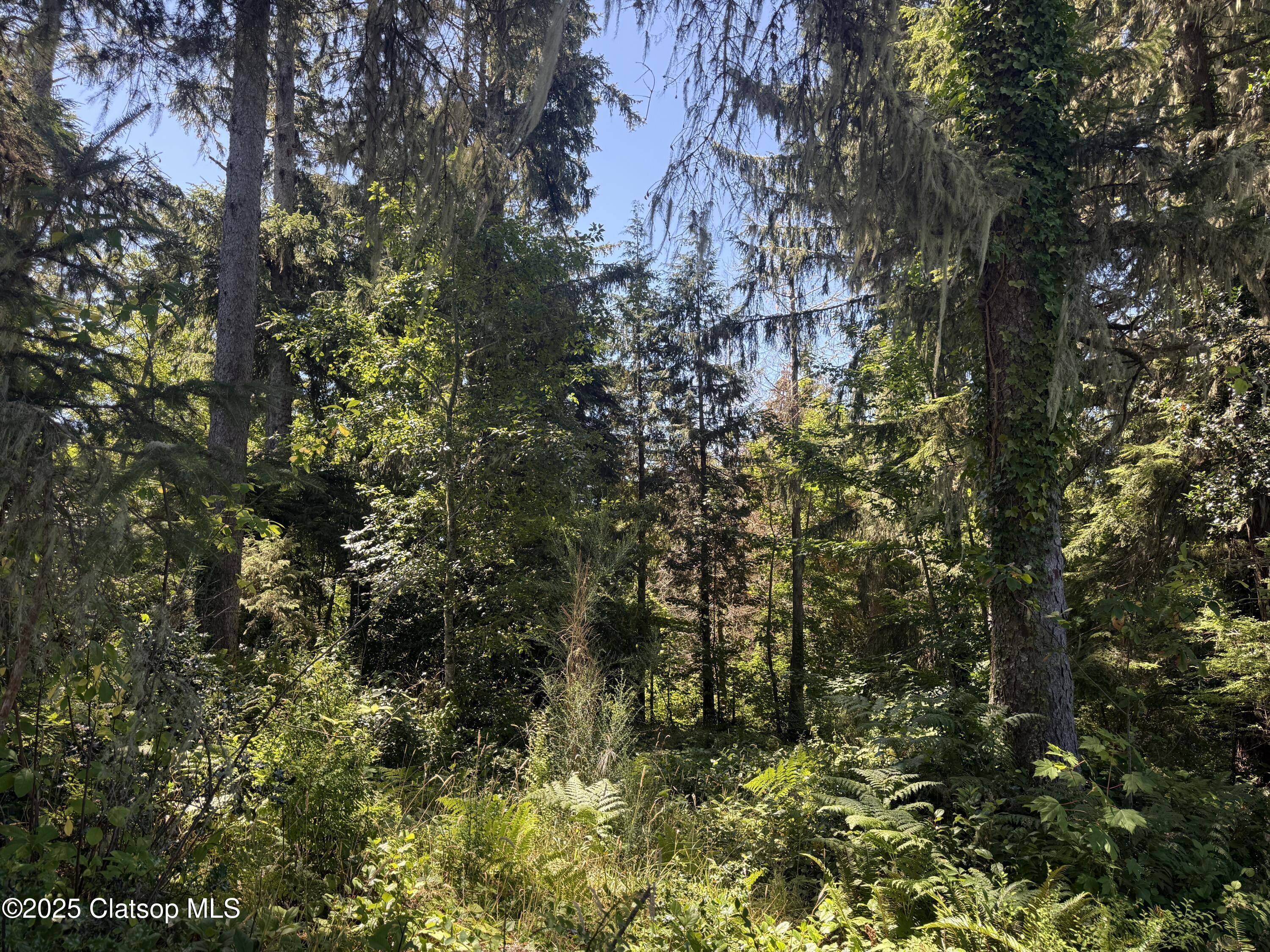 Whiskey Road Property Photo 4