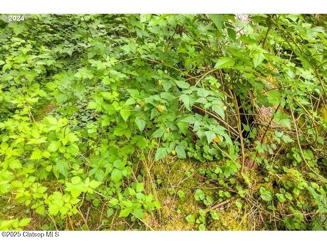 Vl A St #700 Property Photo 12