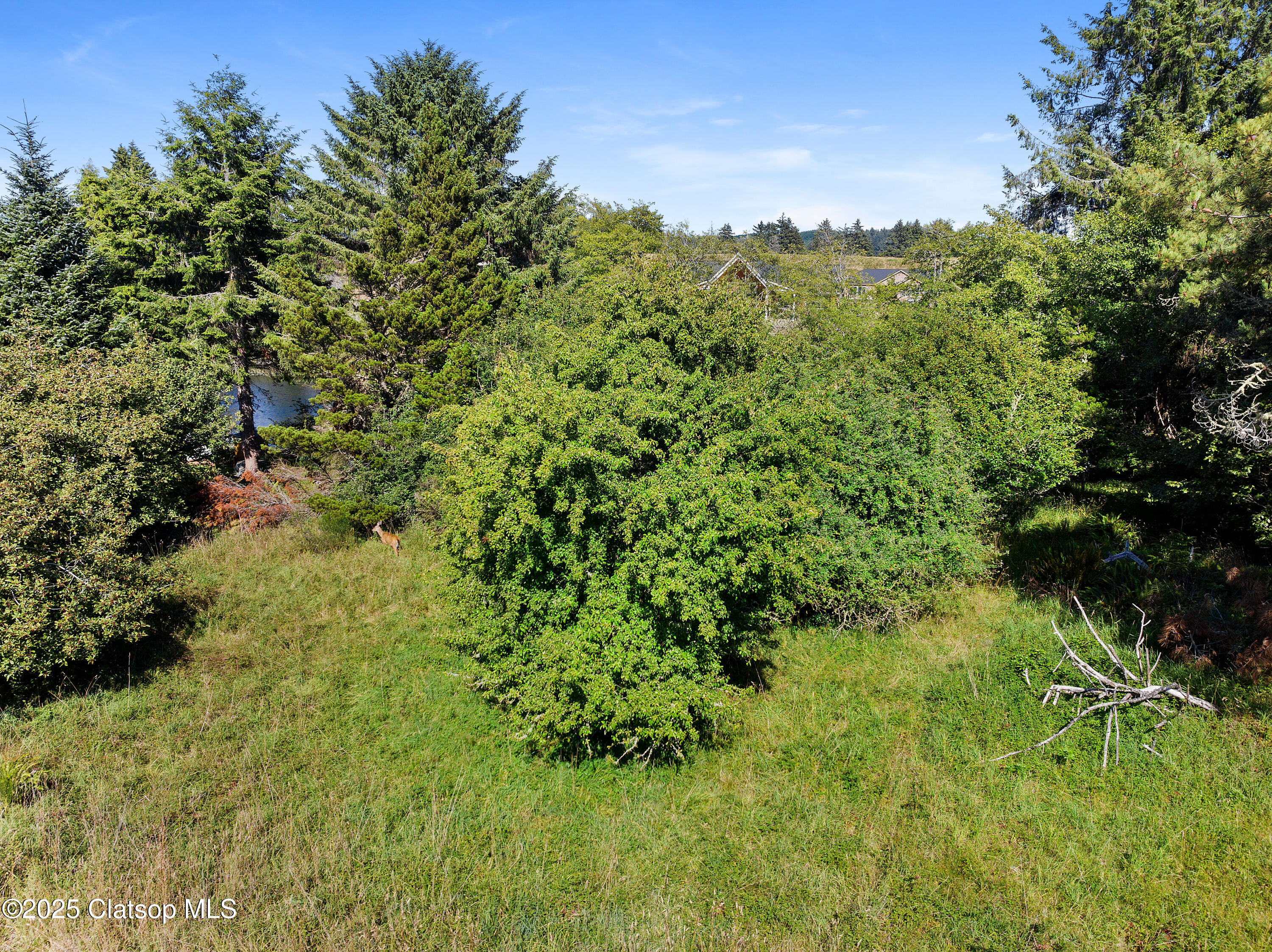 Lewis Road Property Photo 1