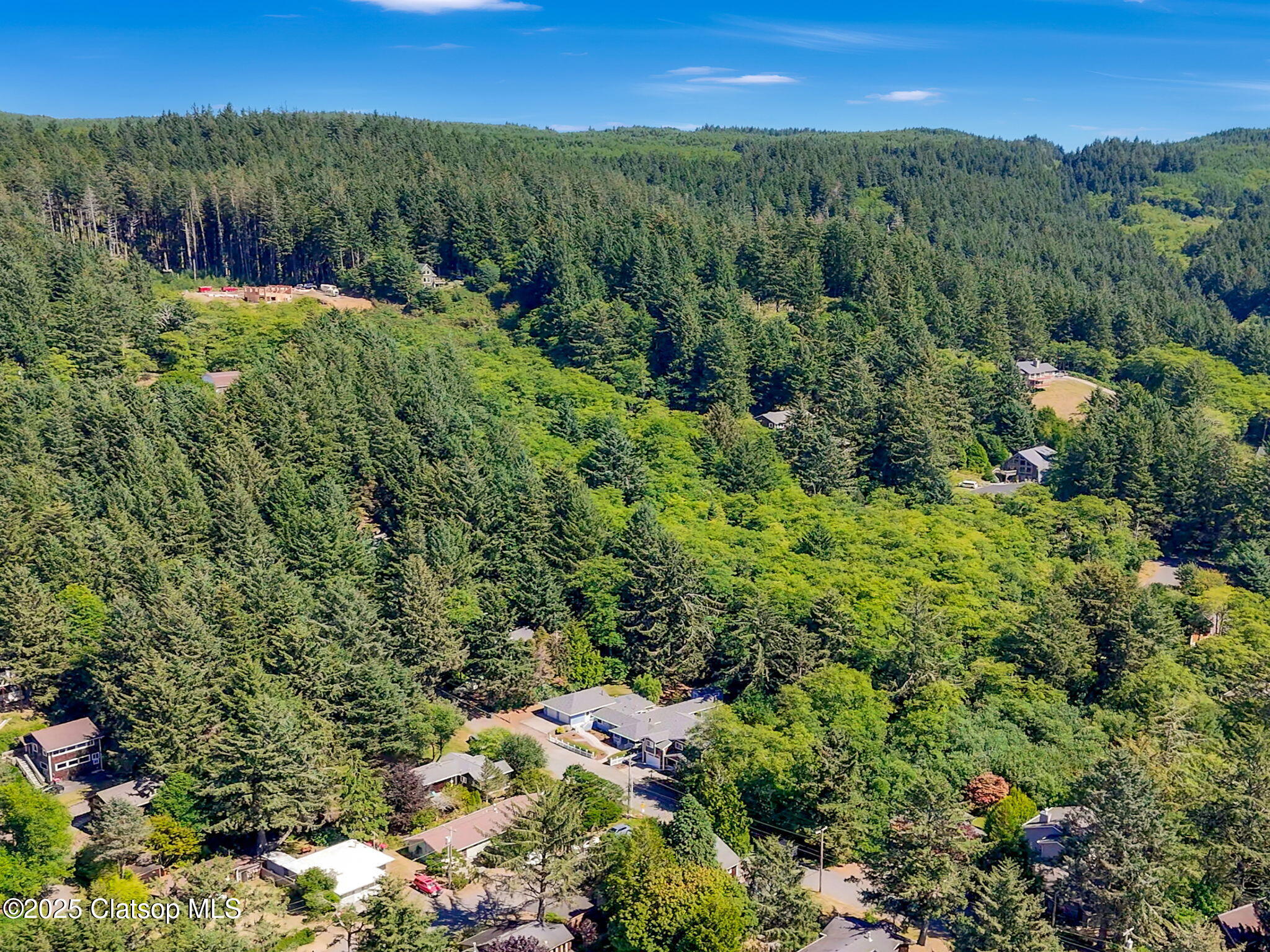 715 N Laurel Street Property Photo 52