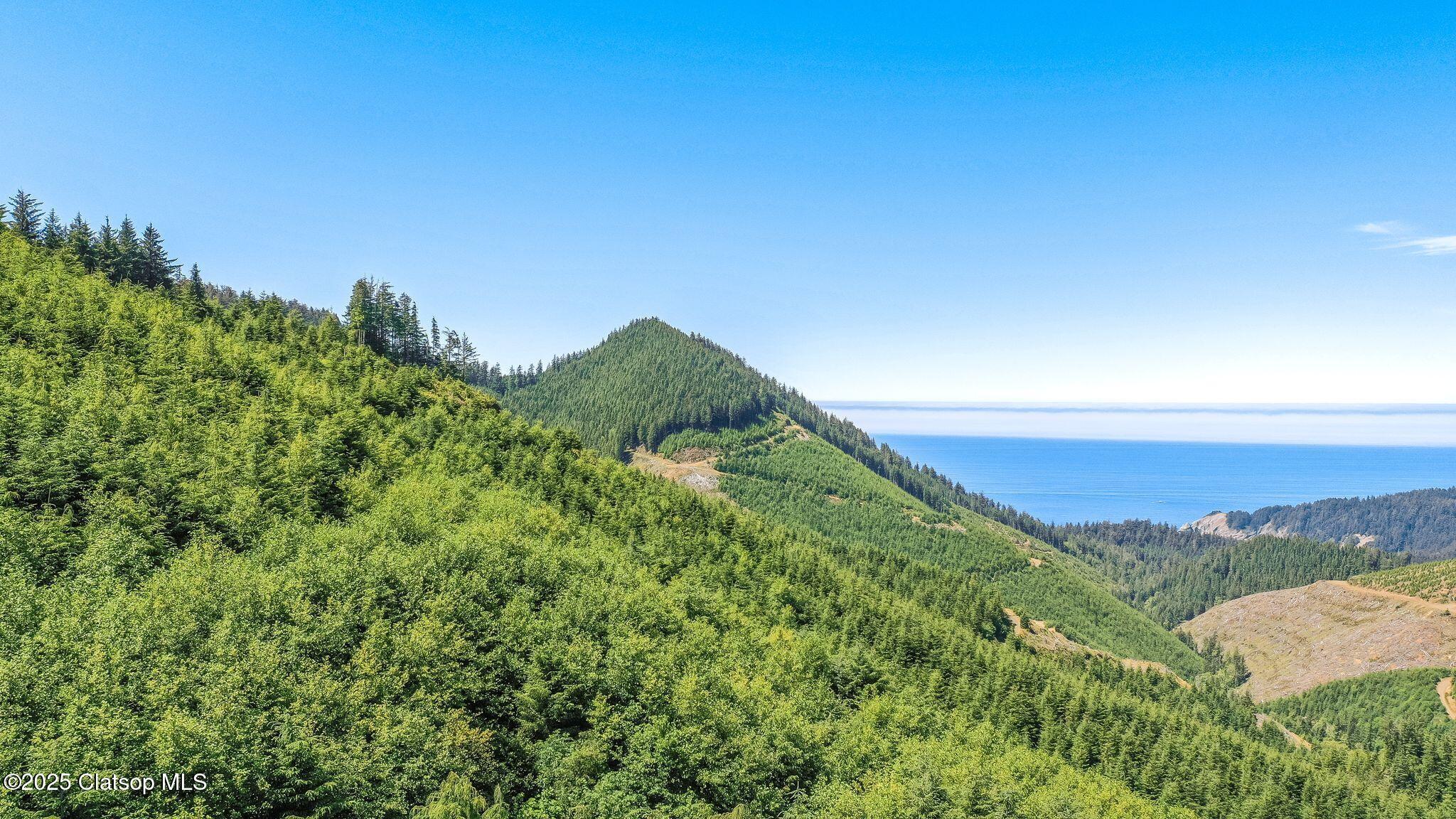 Hwy 101 South Property Photo 3