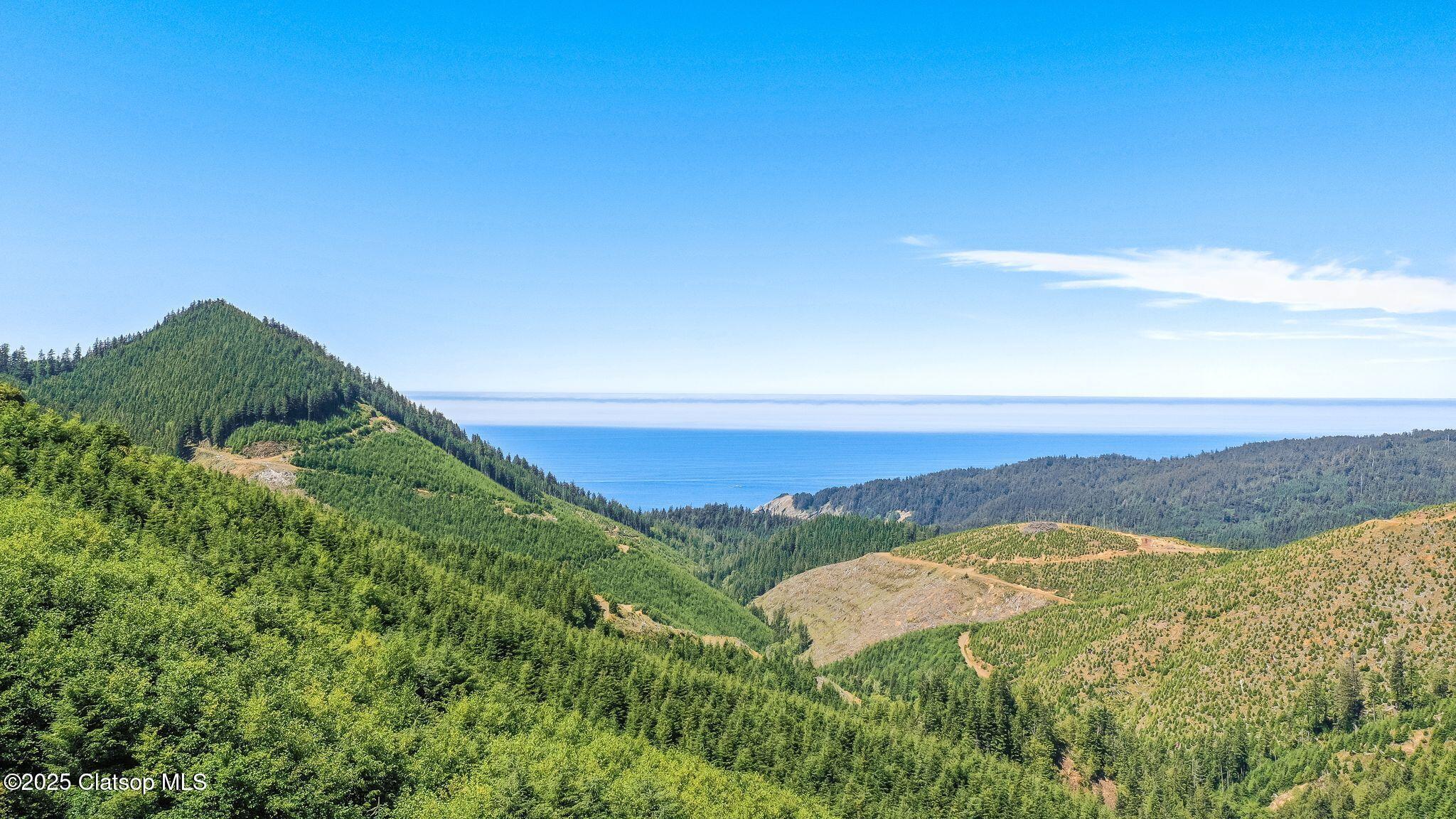 Hwy 101 South Property Photo 4