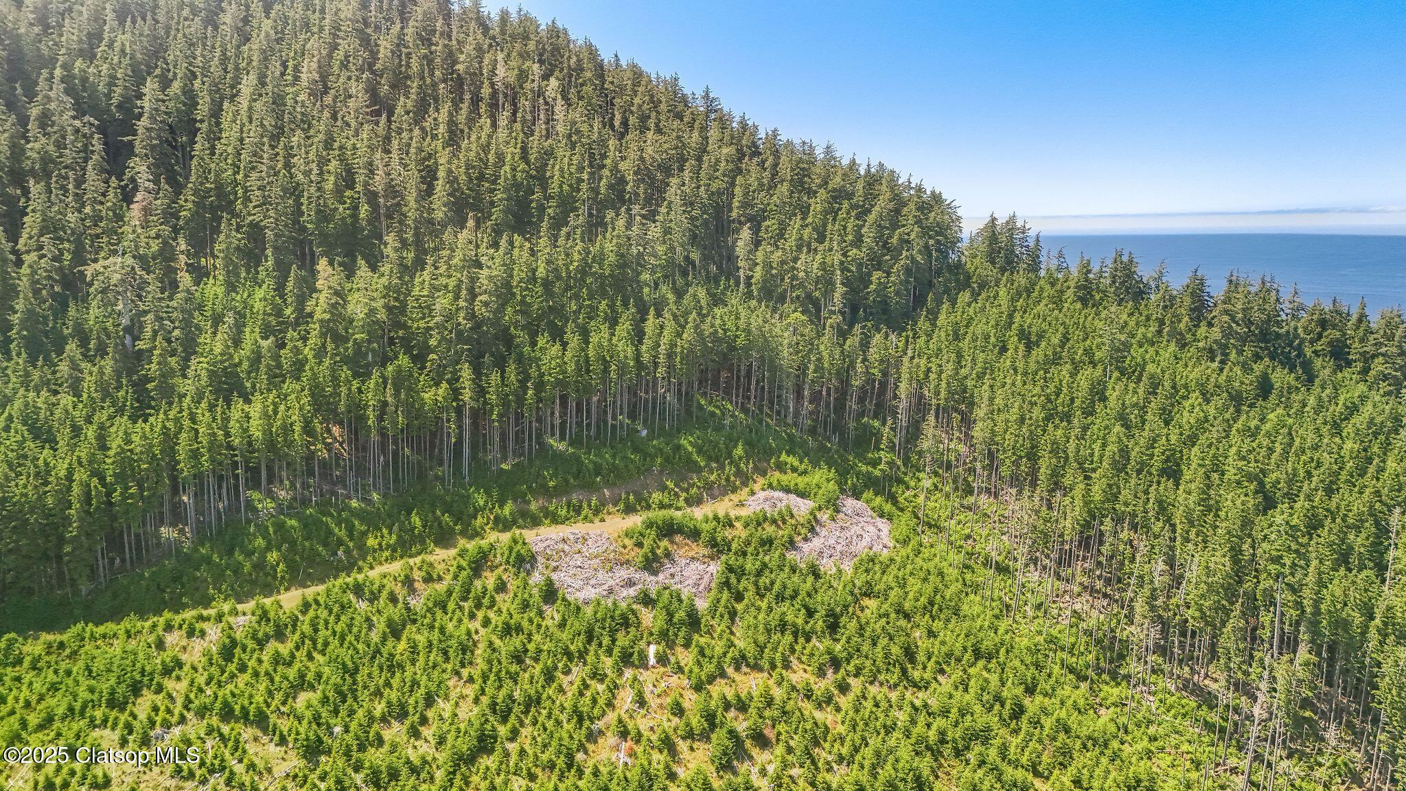 Hwy 101 South Property Photo 8