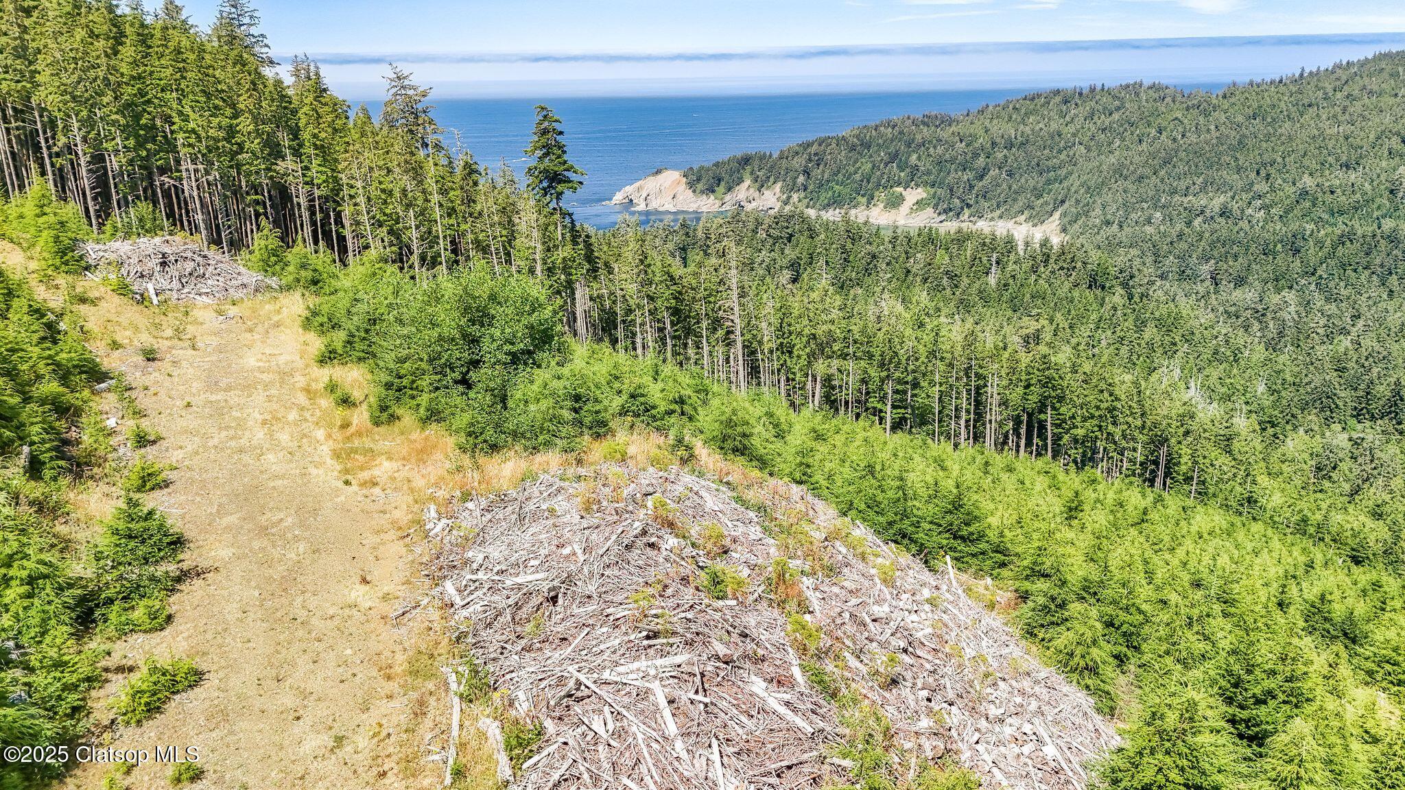 Hwy 101 South Property Photo 10