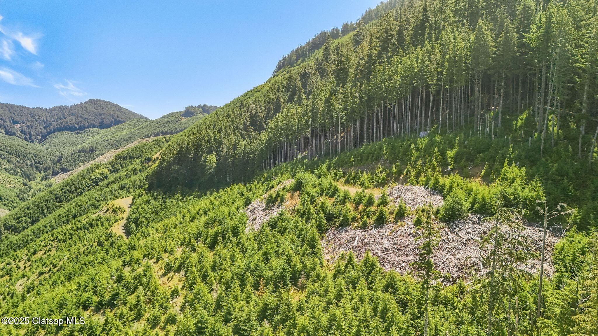 Hwy 101 South Property Photo 11