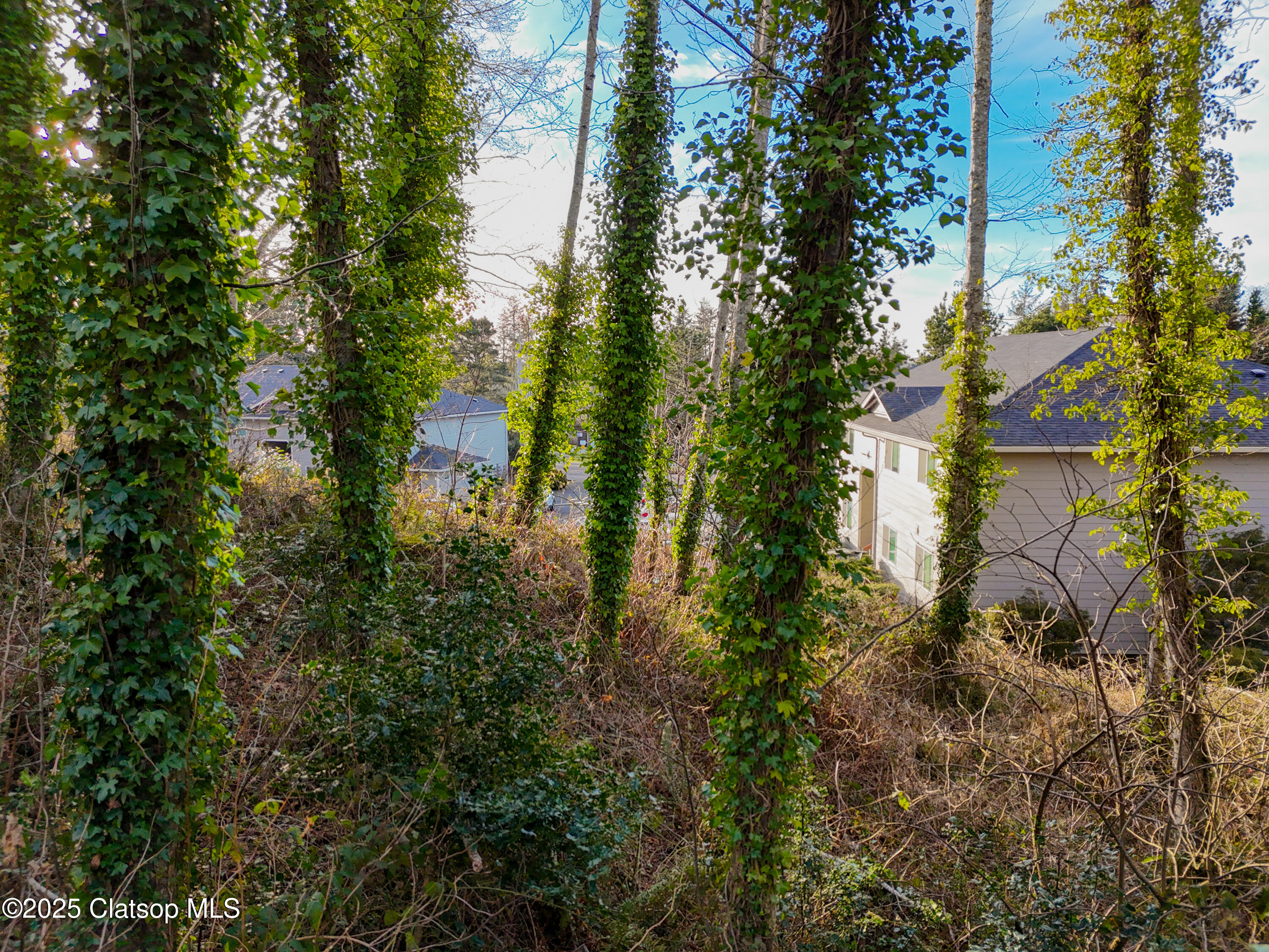 0000 Lea Way Property Photo 6