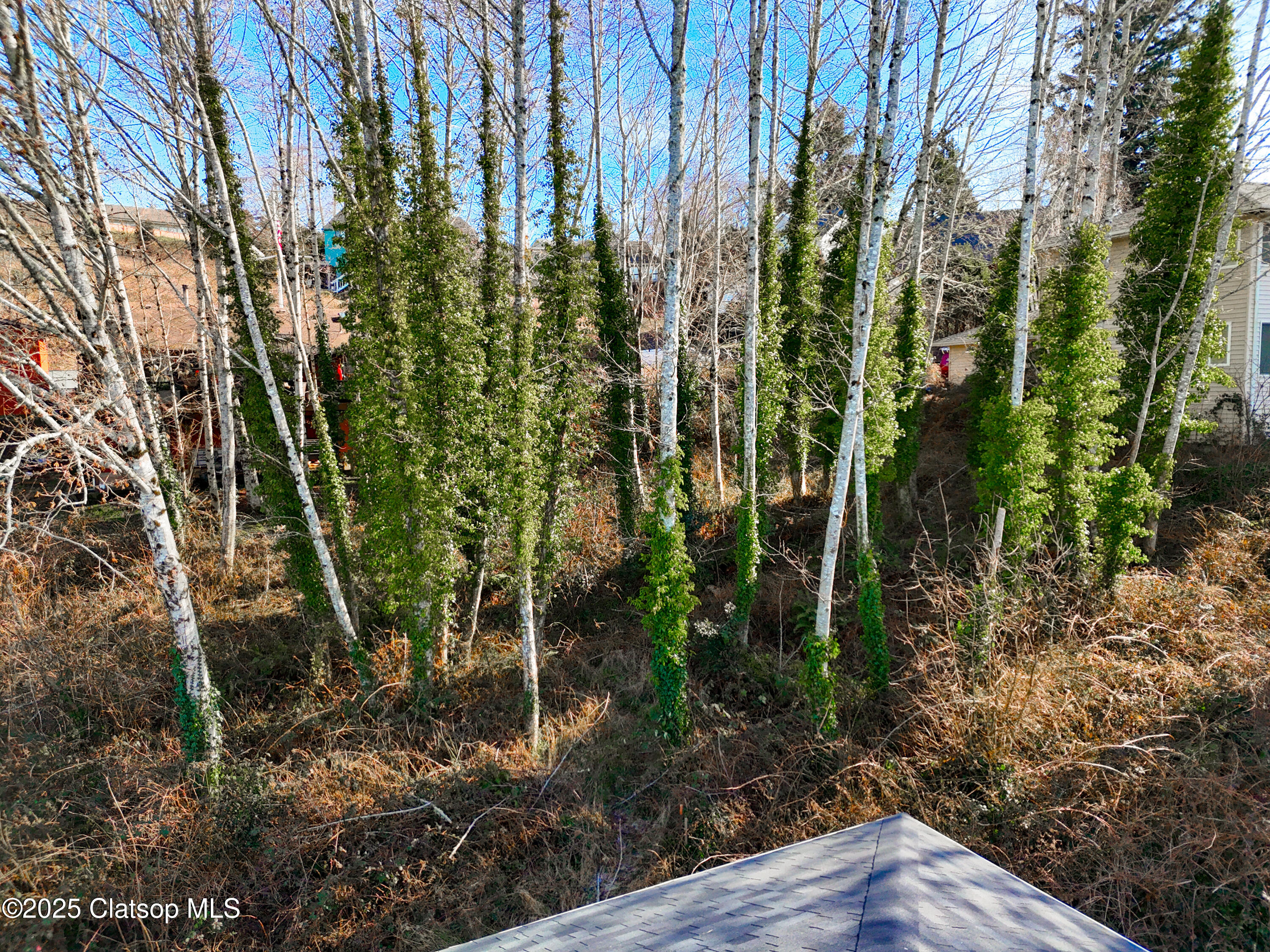 0000 Lea Way Property Photo 7