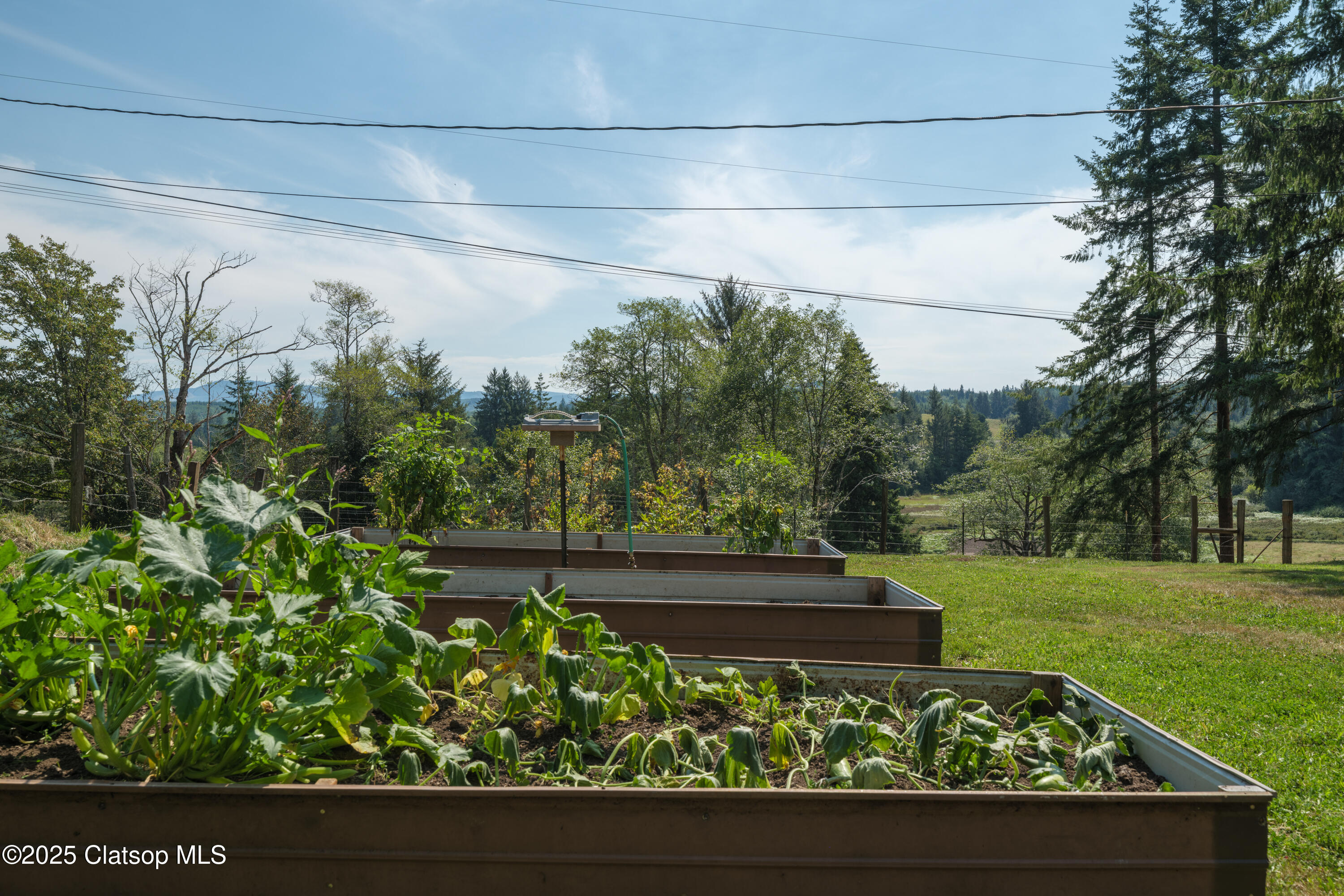 35443 Wiley Lane Property Photo 28