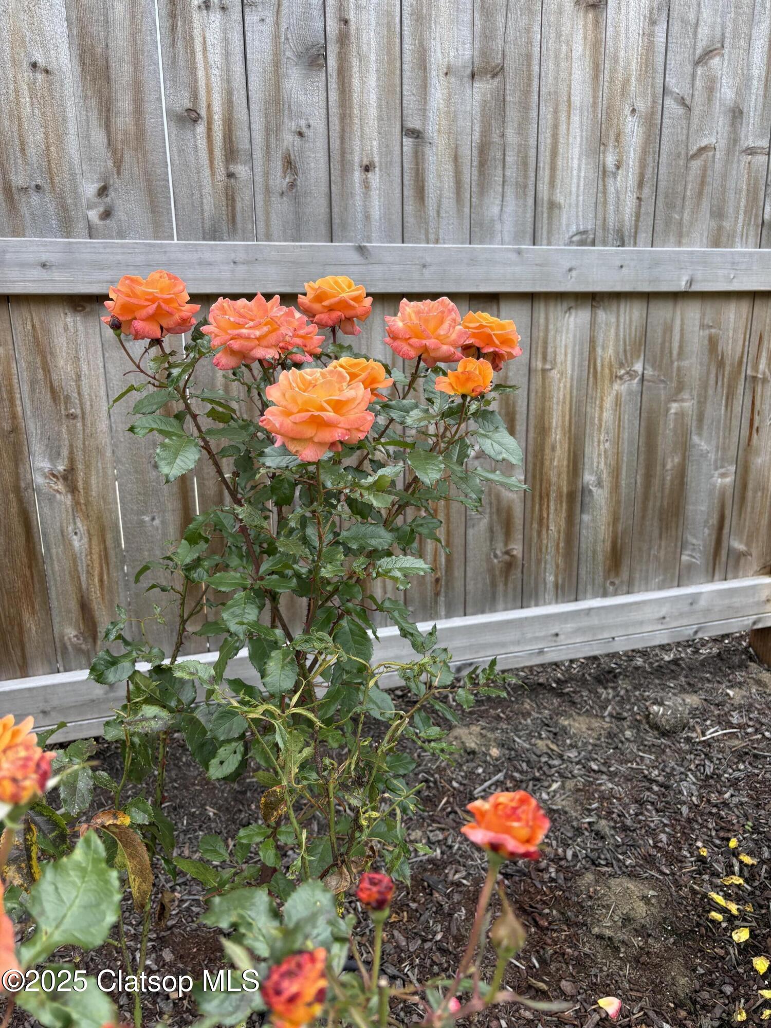 1190 Bugle Avenue Property Photo 29