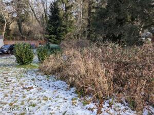 V/l Cedar Avenue Property Photo 3