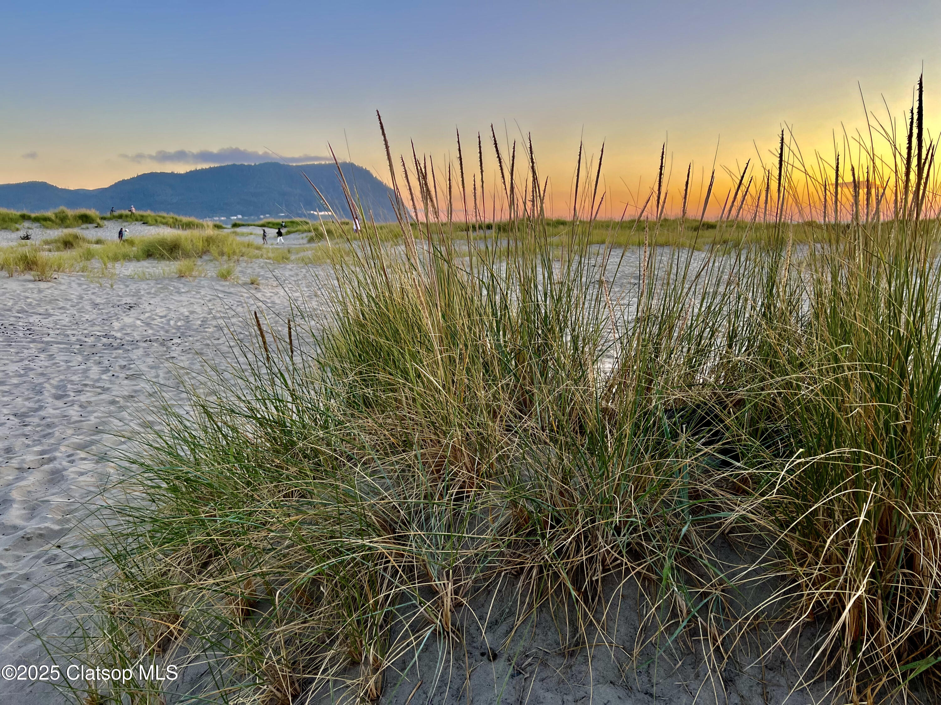 1805 Broadway Street Property Photo 52