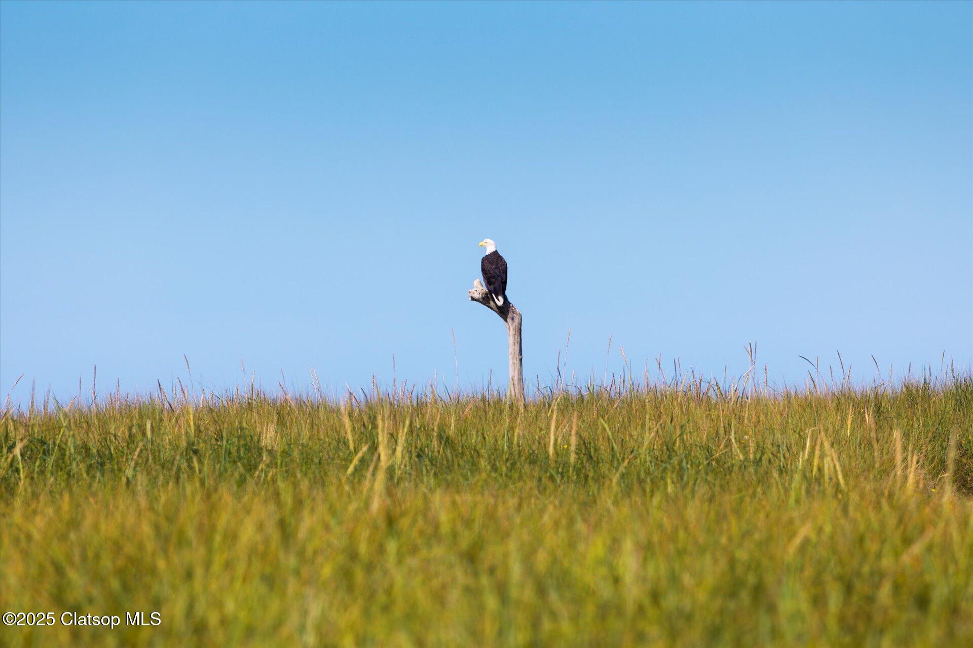 89026 Ocean Drive Property Photo 42