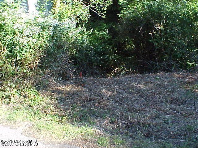 Lots14 &15 Birch Street Property Photo 5