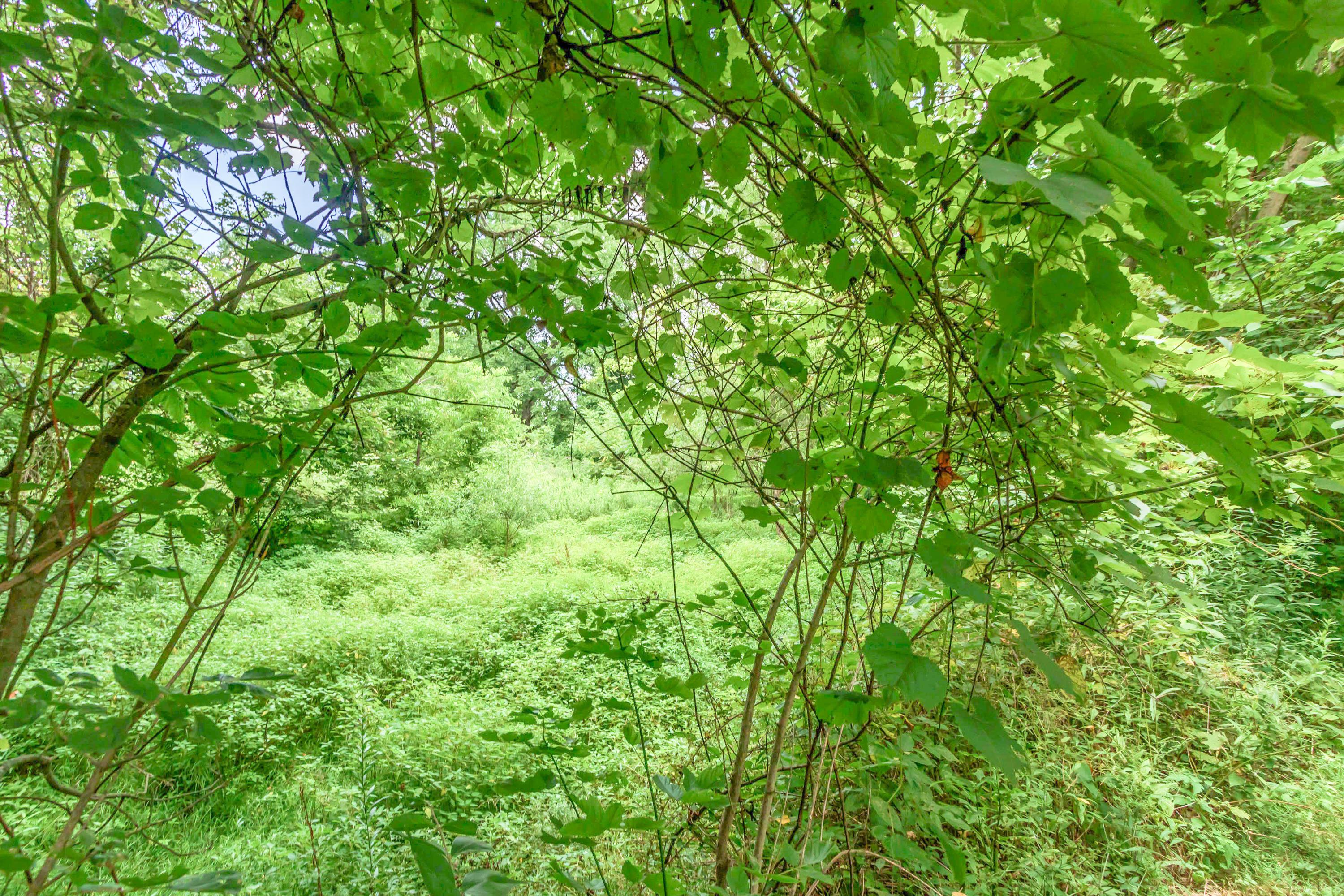 0 Olentangy River Road Property Photo 8