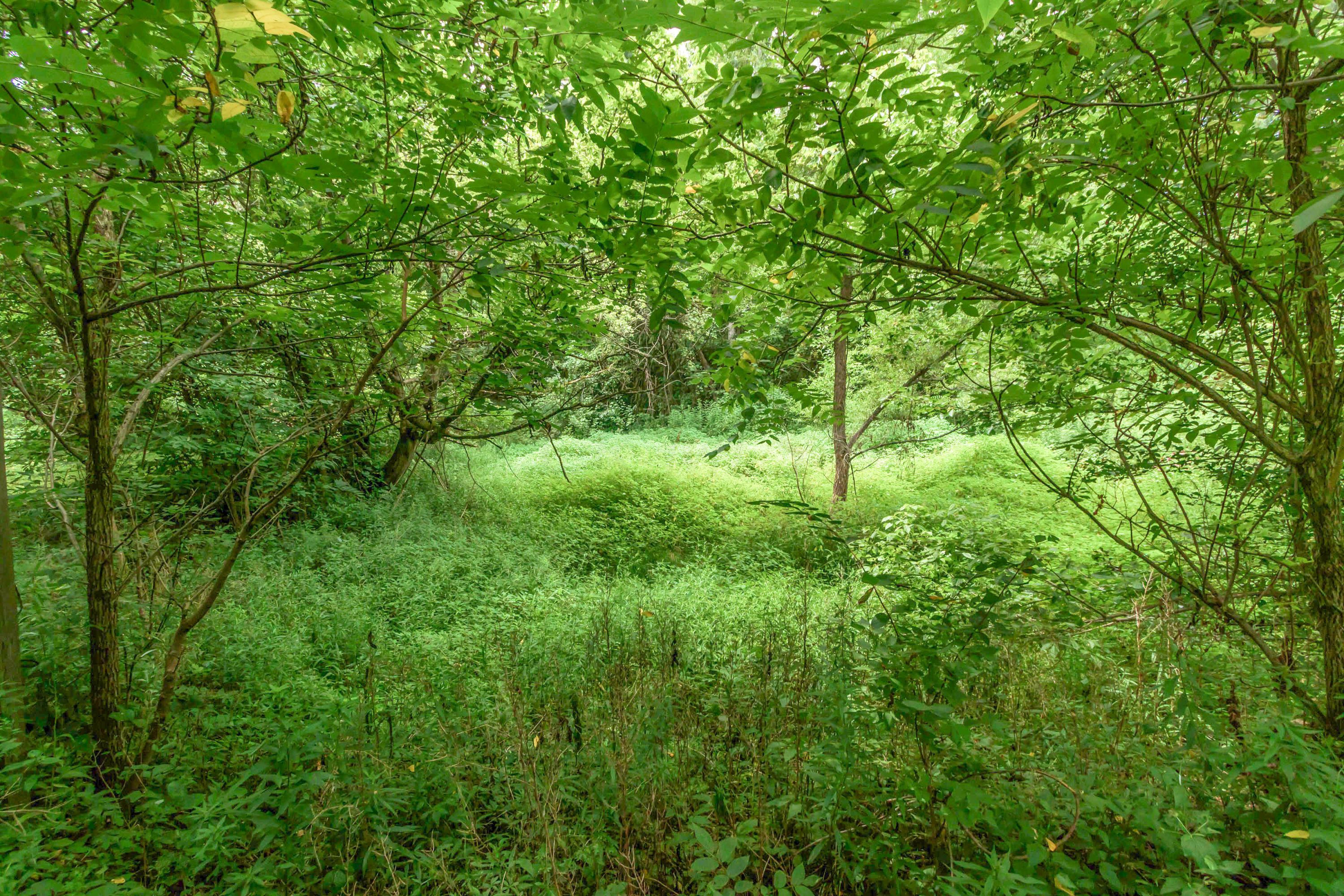 0 Olentangy River Road Property Photo 10