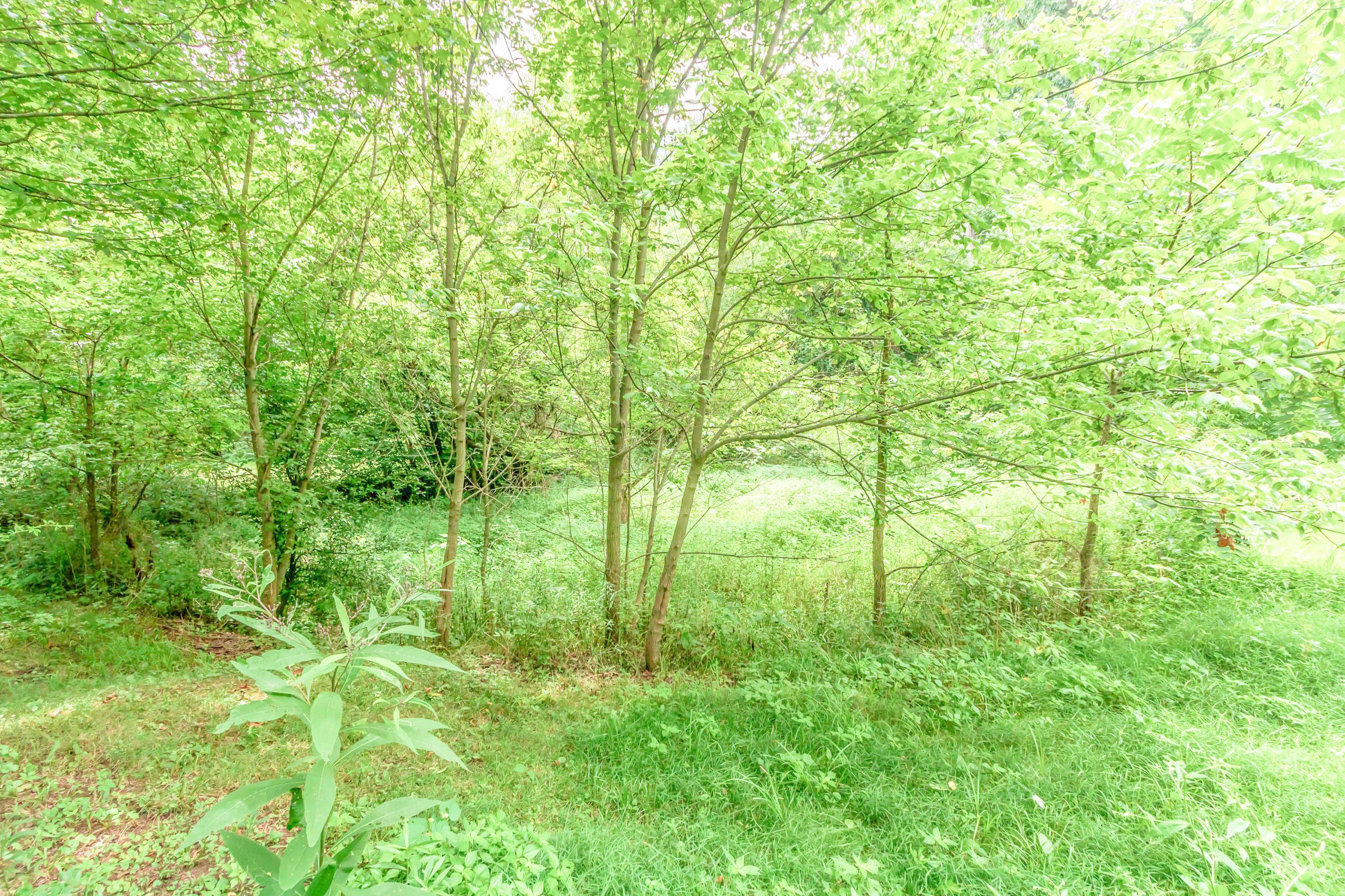 0 Olentangy River Road Property Photo 13