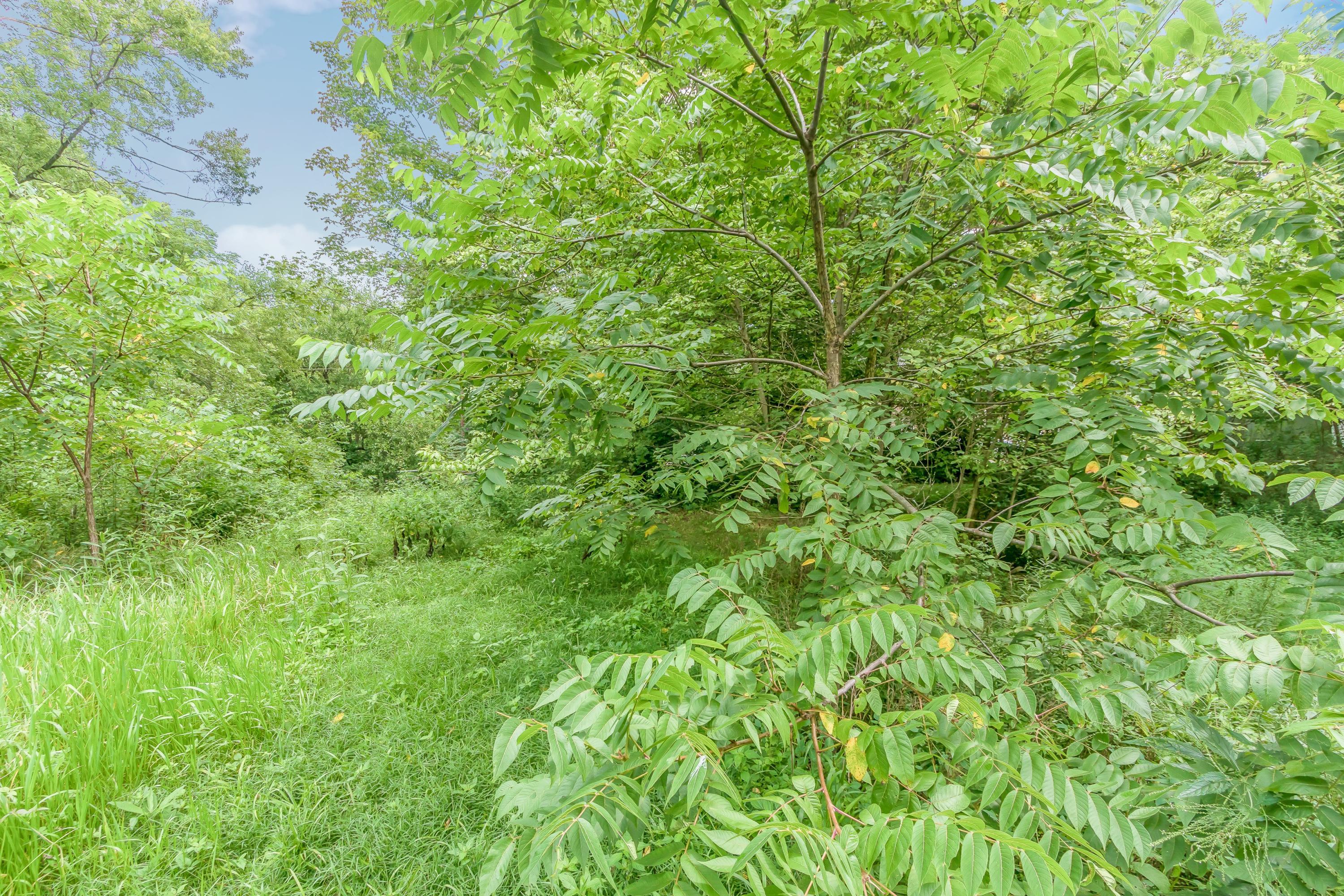 0 Olentangy River Road Property Photo 15