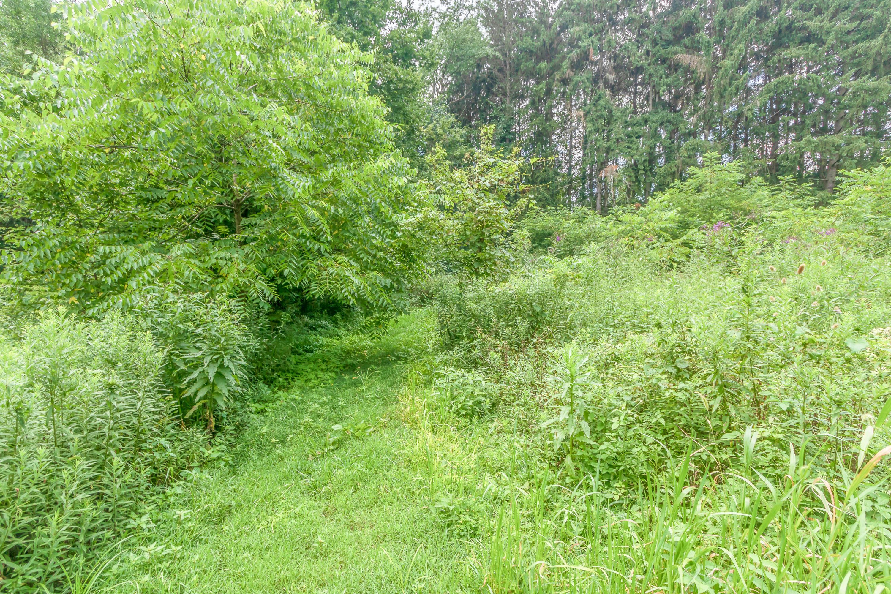 0 Olentangy River Road Property Photo 17