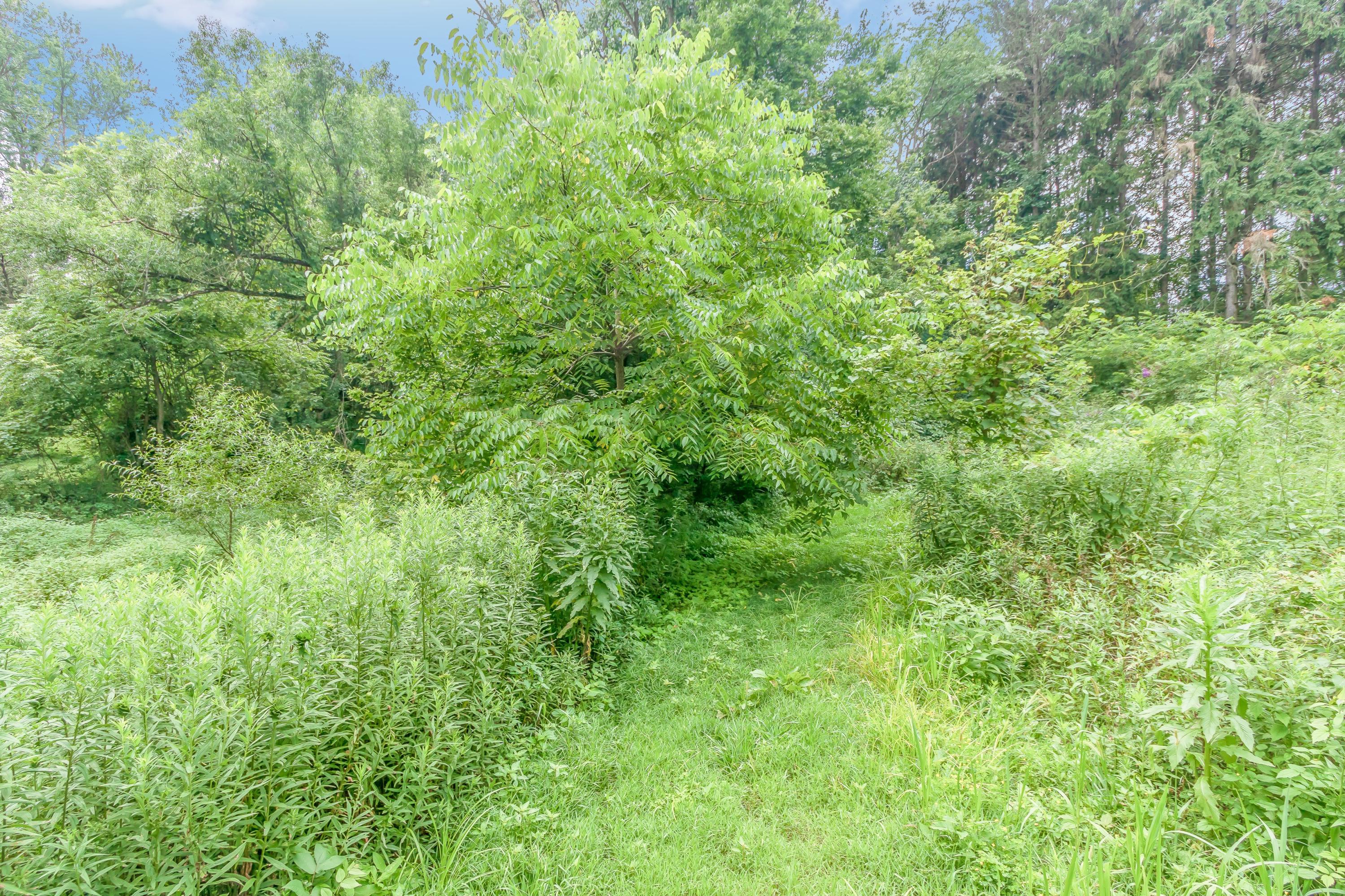 0 Olentangy River Road Property Photo 18