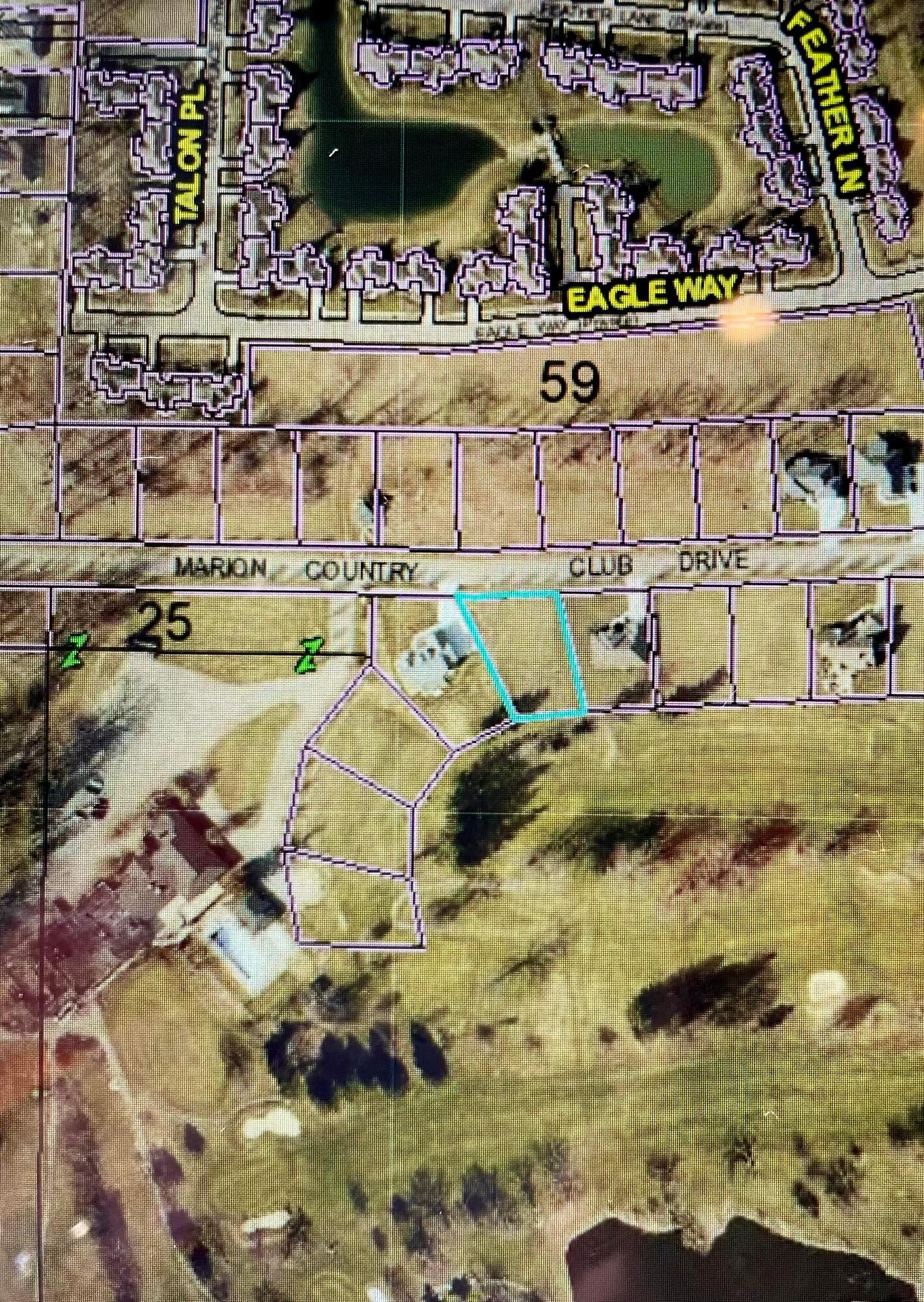 1493 Marion Country Club Drive Property Photo 4