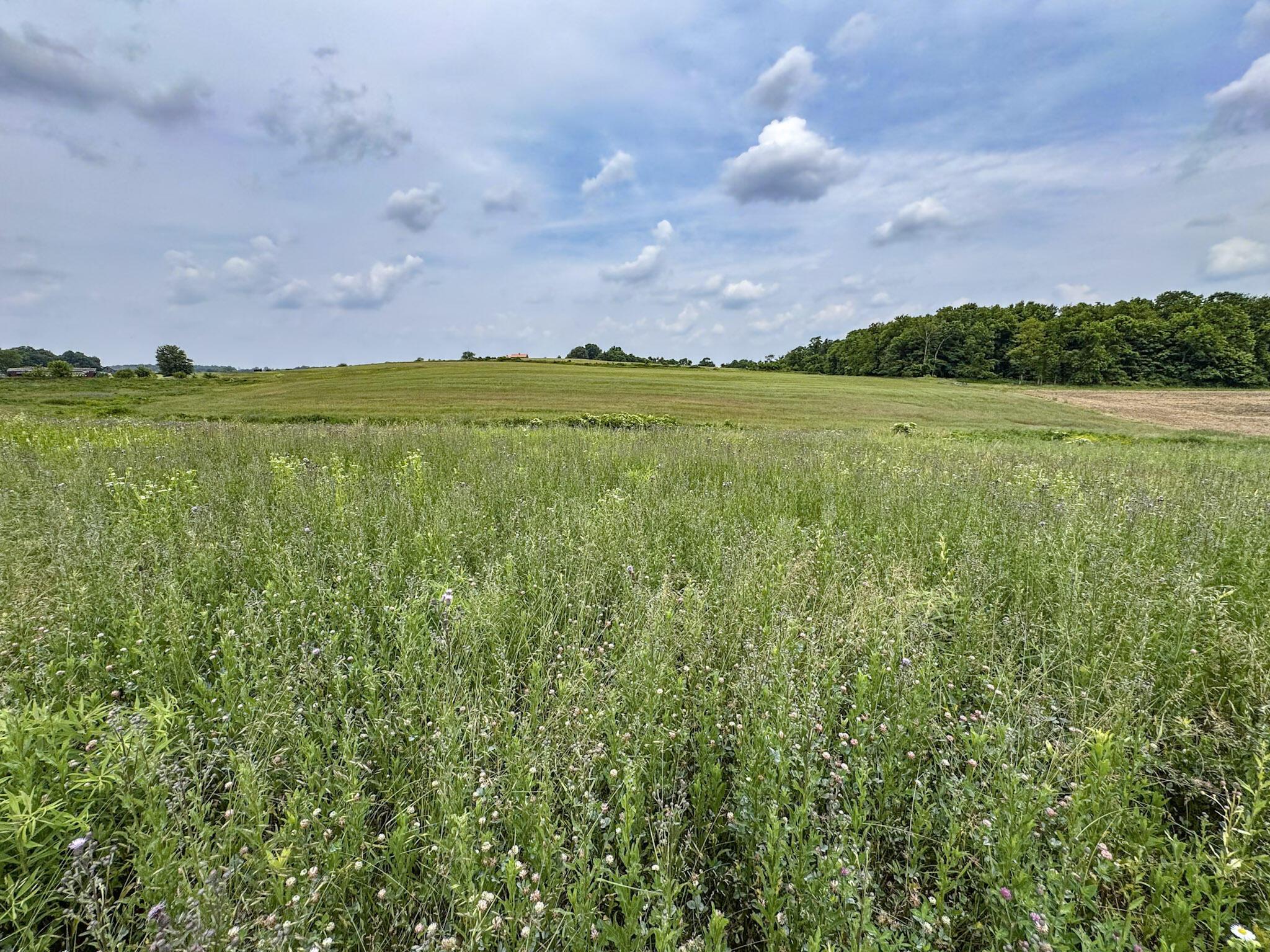 0 Township Rd 87, Lot 11 Property Photo 2