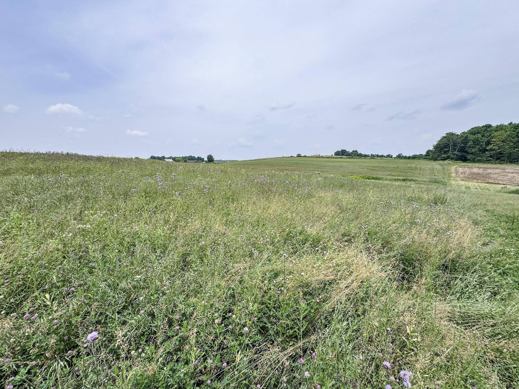 0 Township Rd 87, Lot 11 Property Photo 7