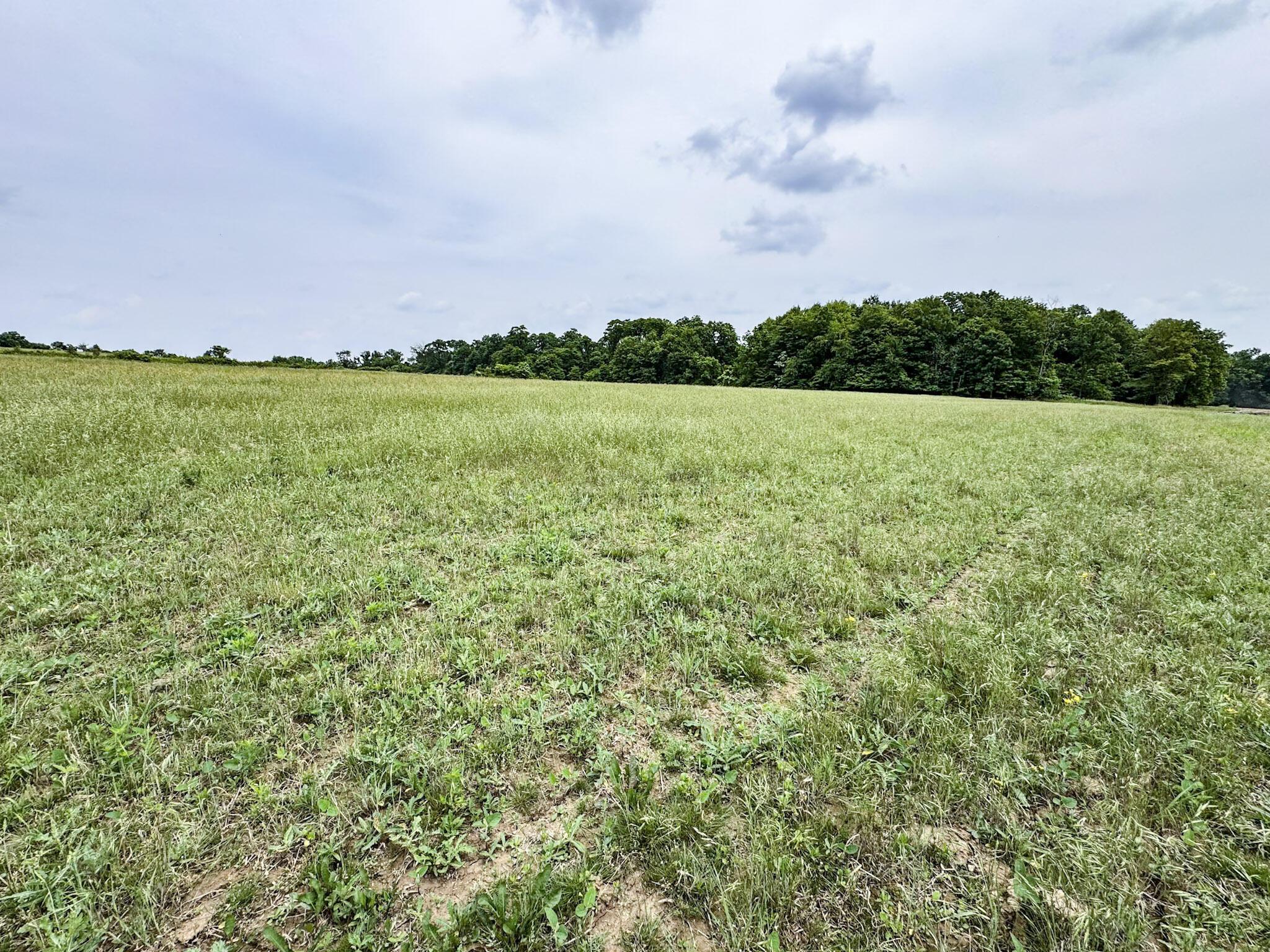 0 Township Rd 87, Lot 11 Property Photo 13