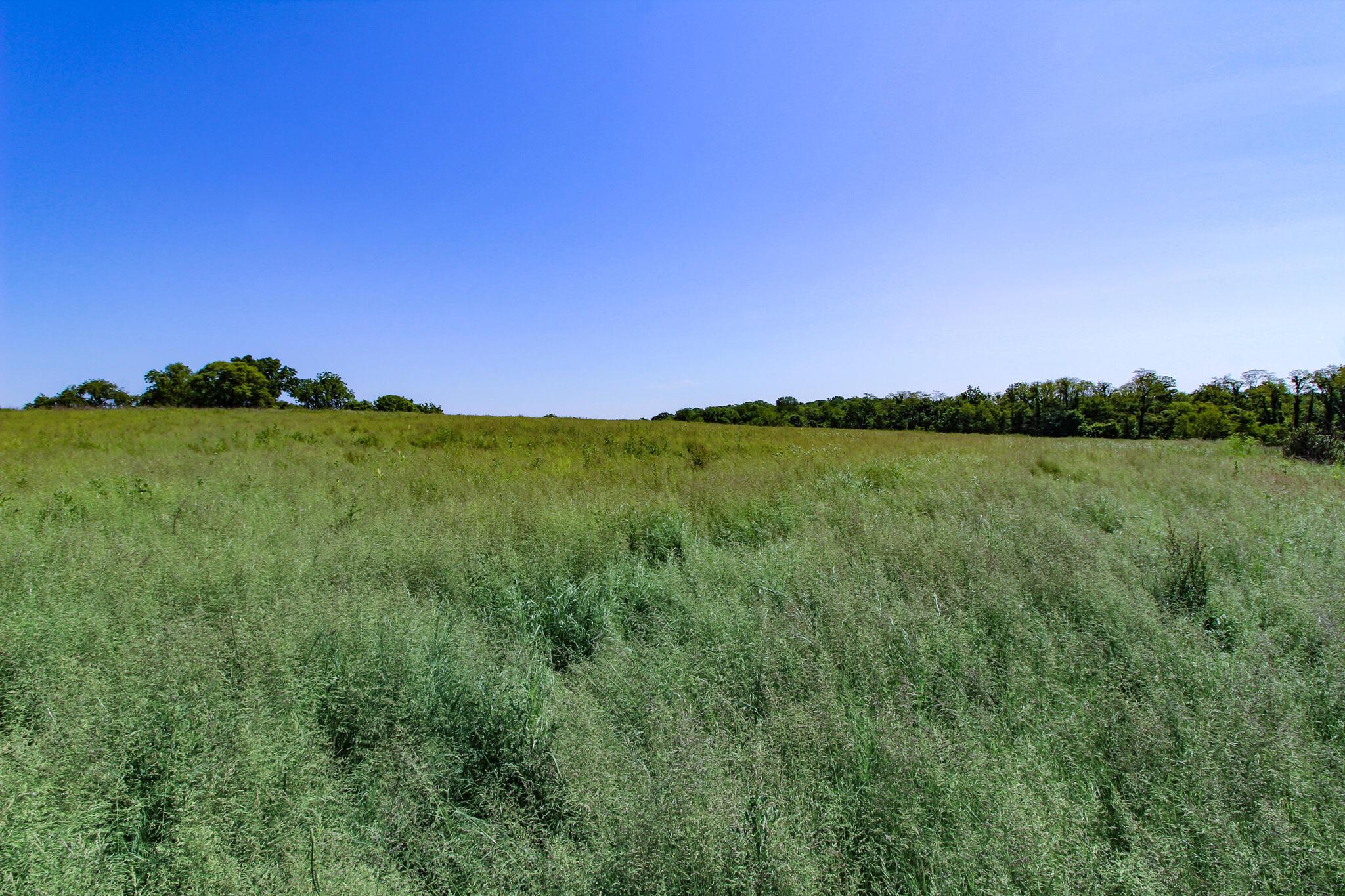0 Township Rd 87, Lot 11 Property Photo 15