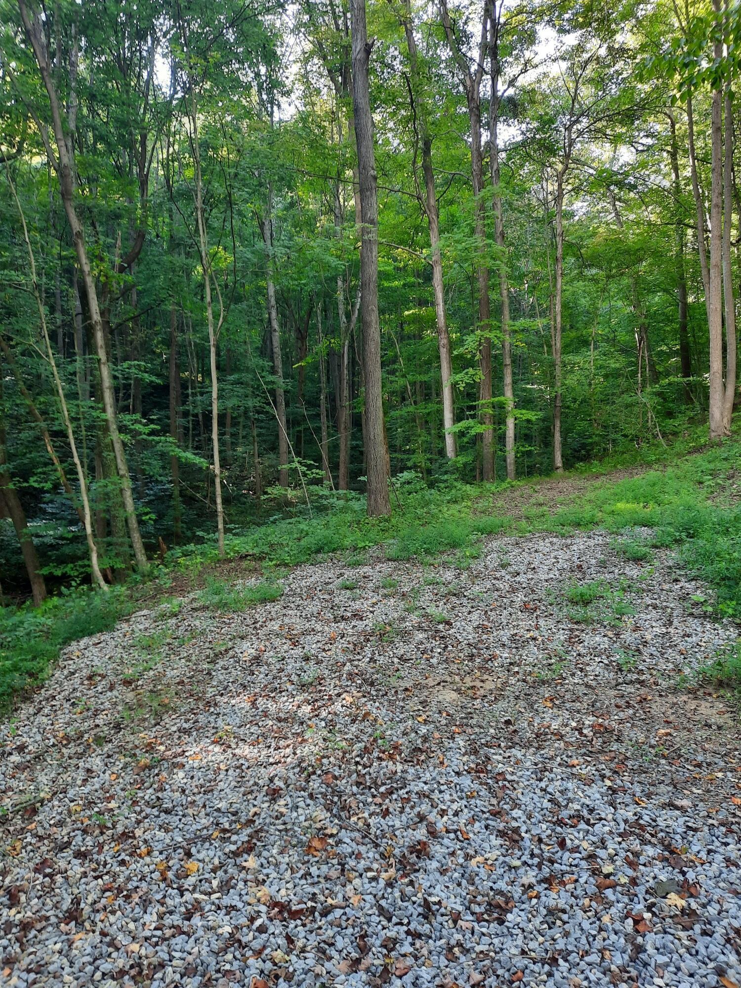 0 Auerville Road Property Photo 1