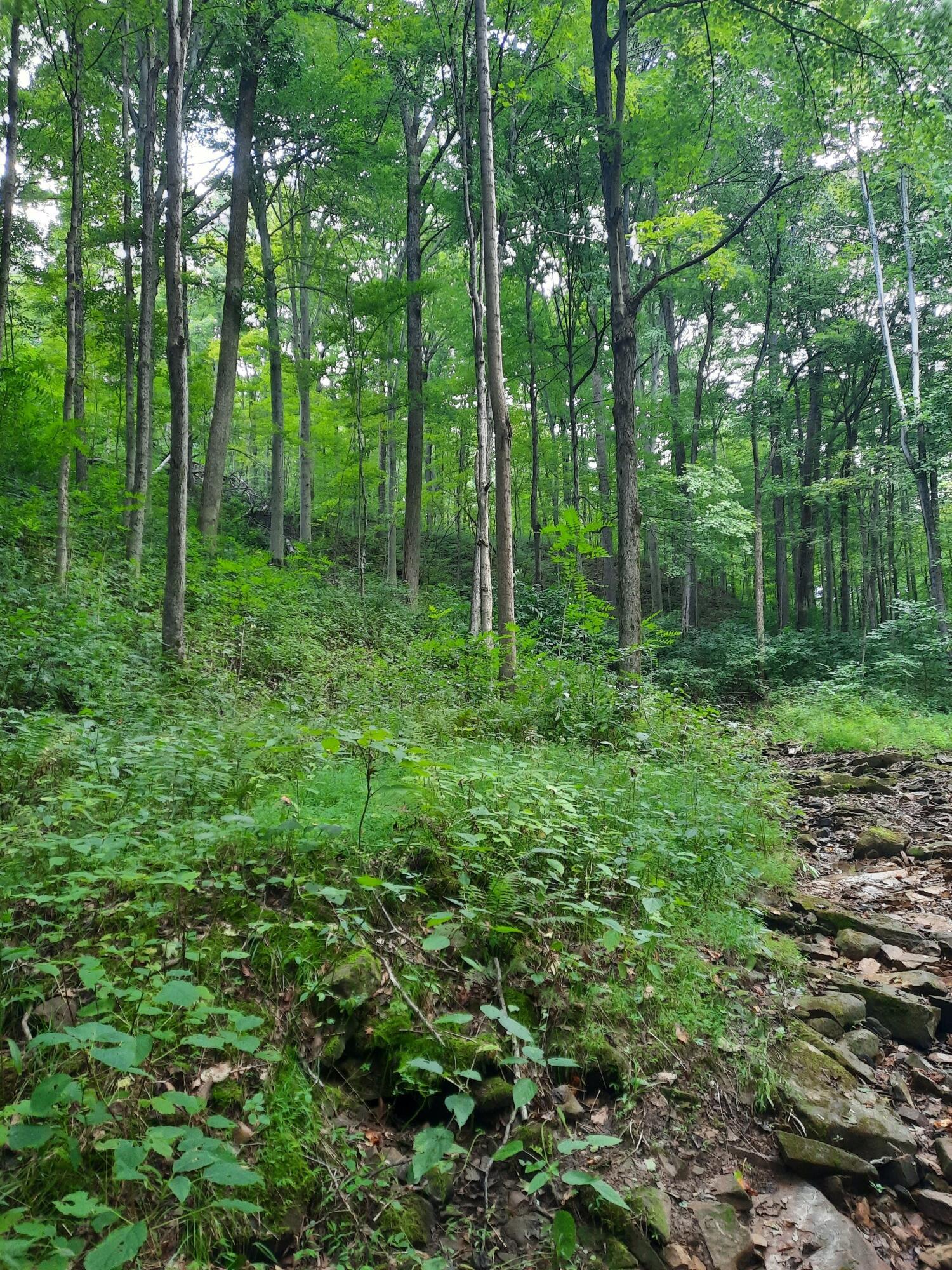 0 Auerville Road Property Photo 2