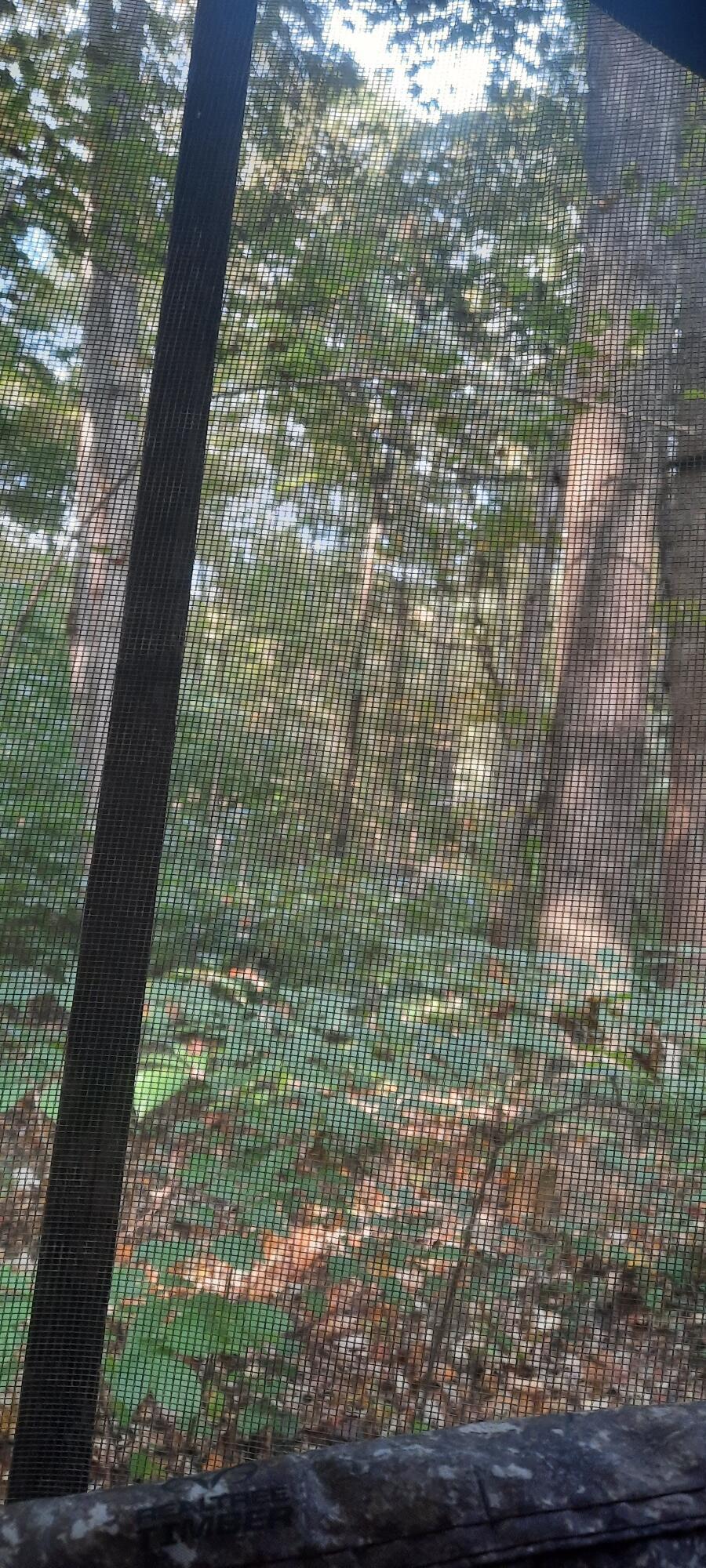 0 Auerville Road Property Photo 4