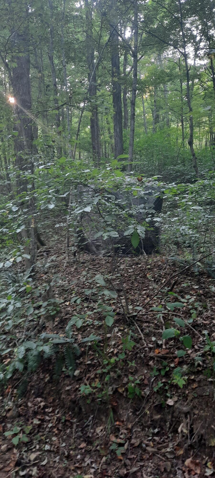 0 Auerville Road Property Photo 5