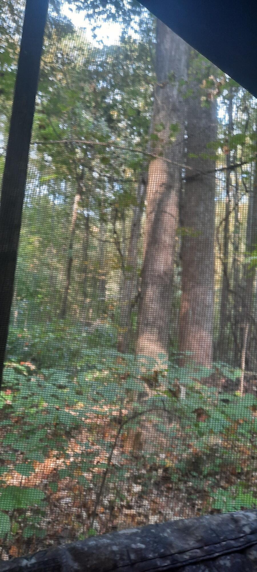 0 Auerville Road Property Photo 6