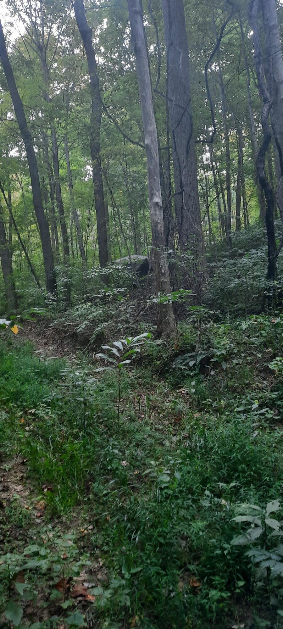 0 Auerville Road Property Photo 8