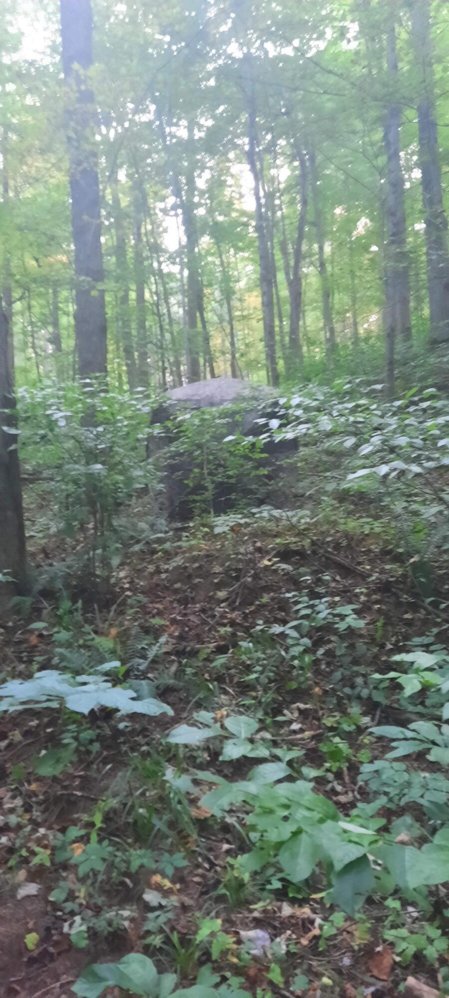 0 Auerville Road Property Photo 11