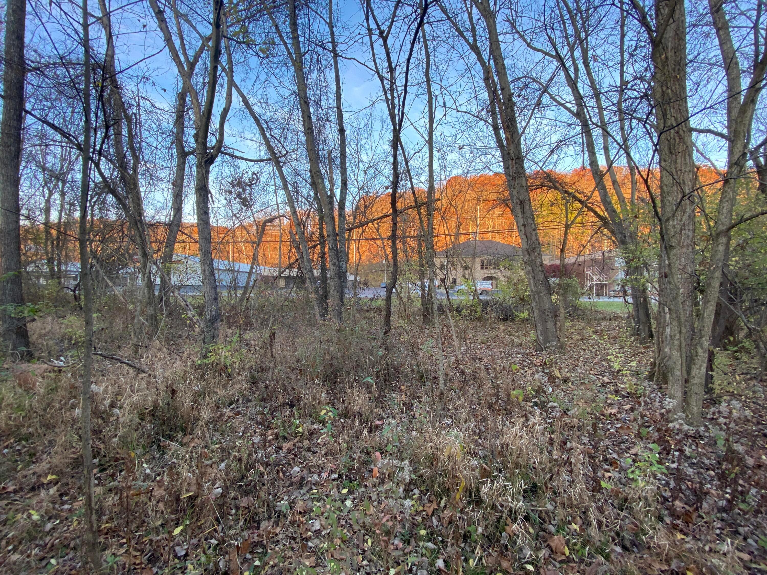 0 Columbus Road Property Photo 5