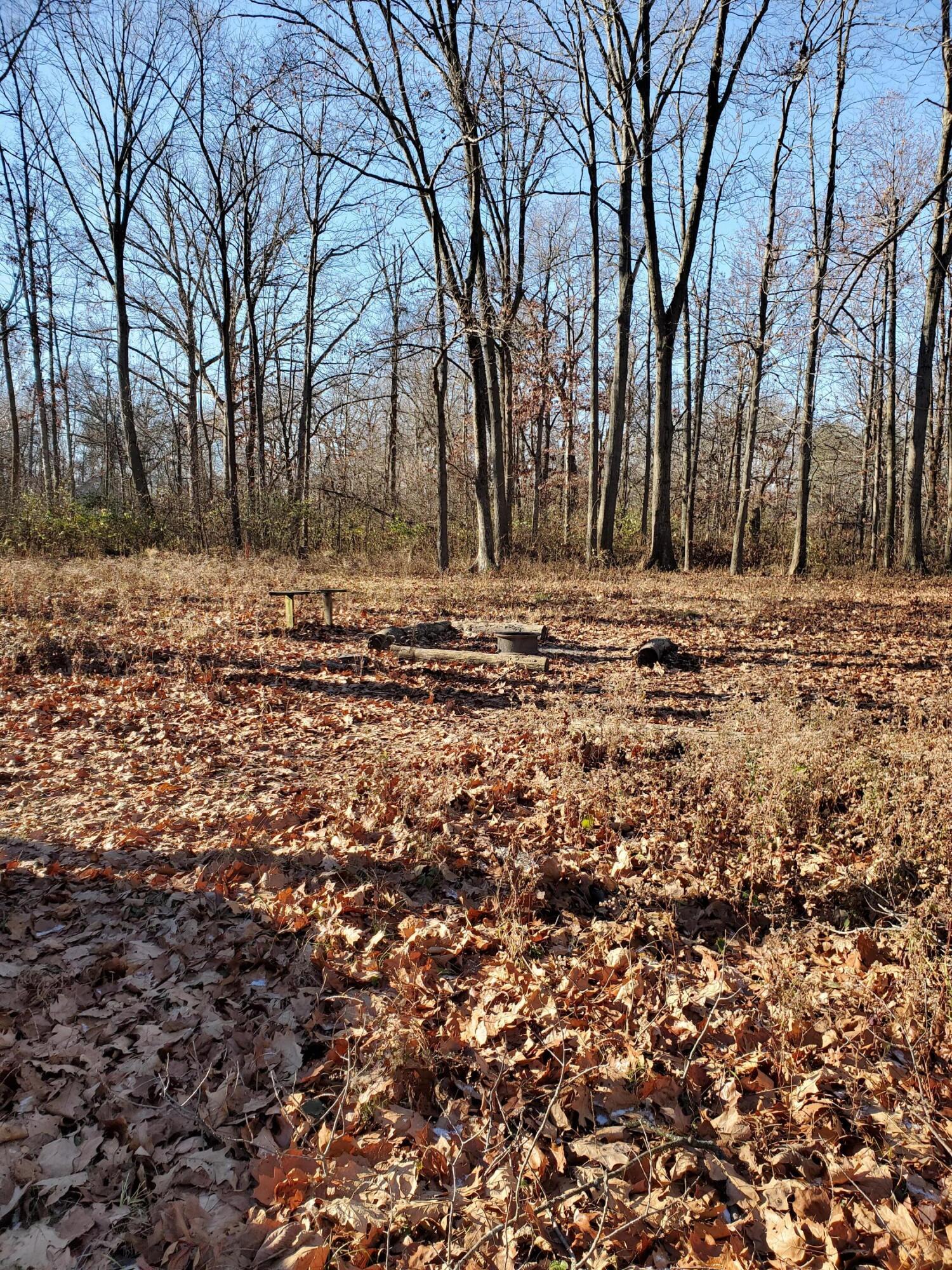 4440 Deer Creek Lane Property Photo 1