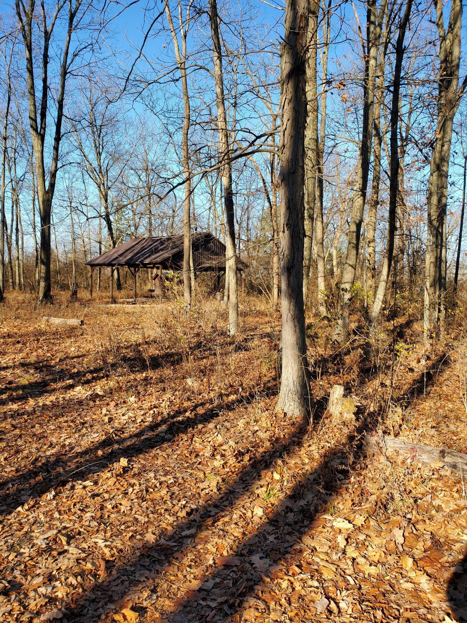 4440 Deer Creek Lane Property Photo 2