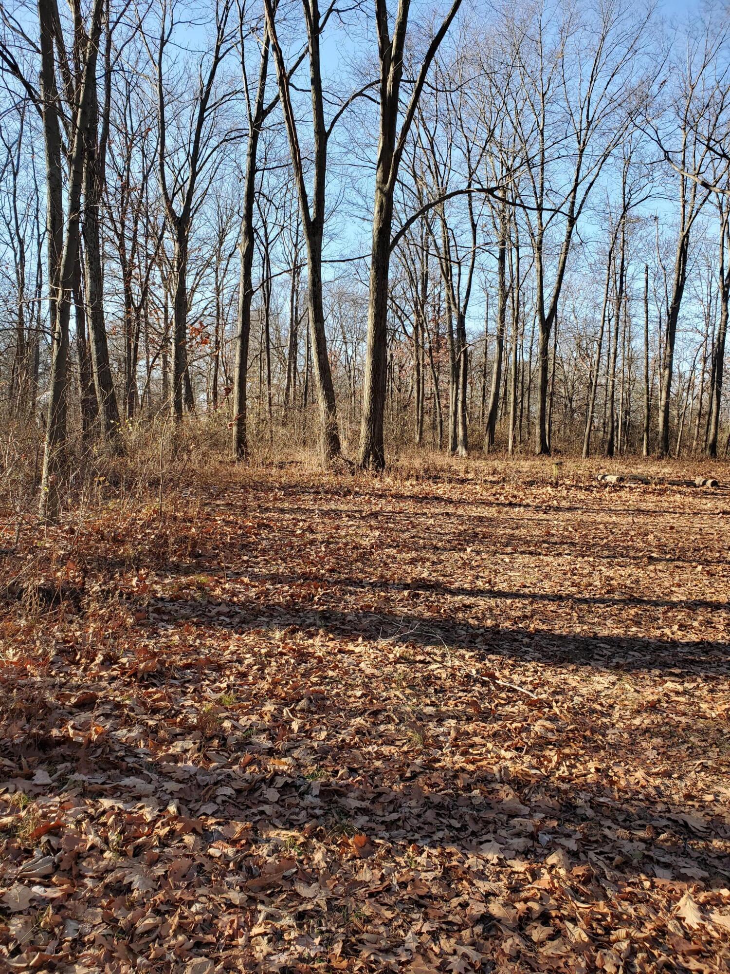 4440 Deer Creek Lane Property Photo 5