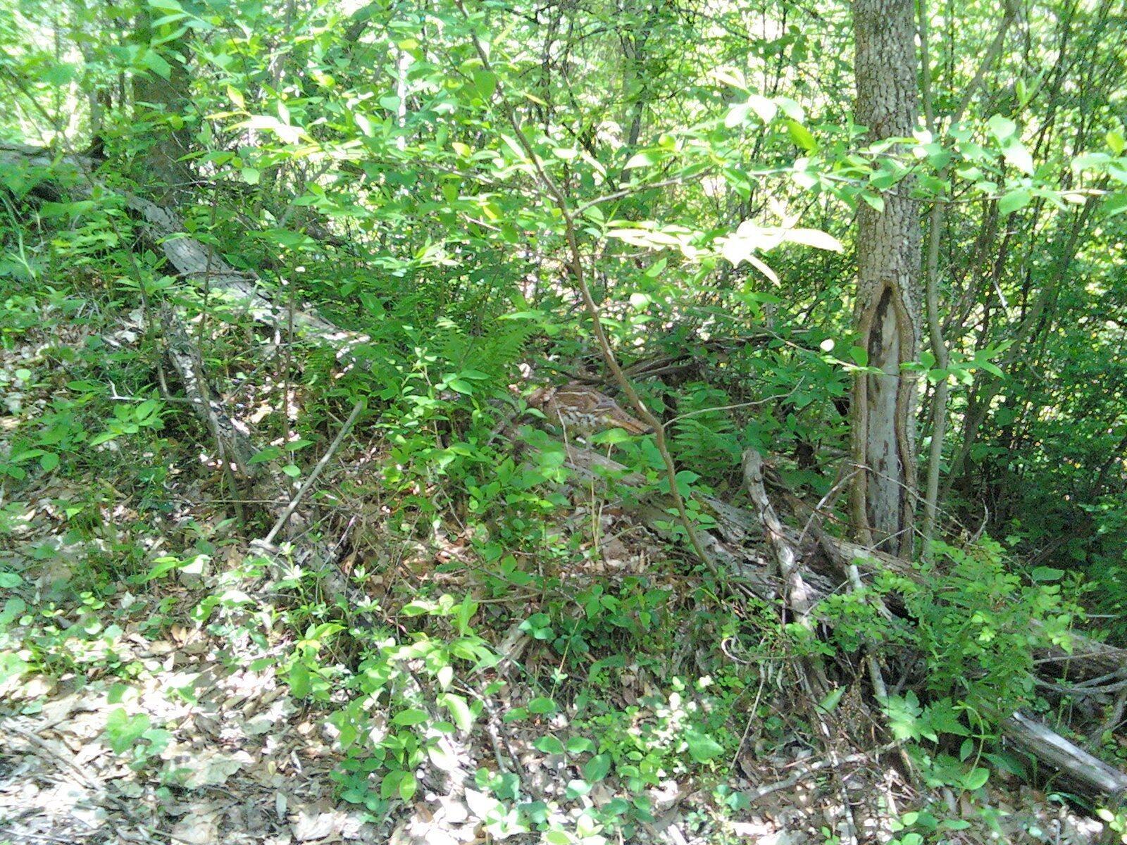 0 County Road 12 Property Photo 1