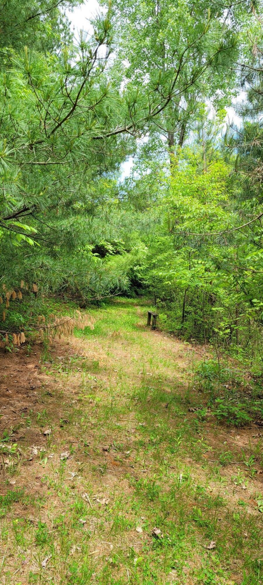 12858 Green Chapel Road Property Photo 22