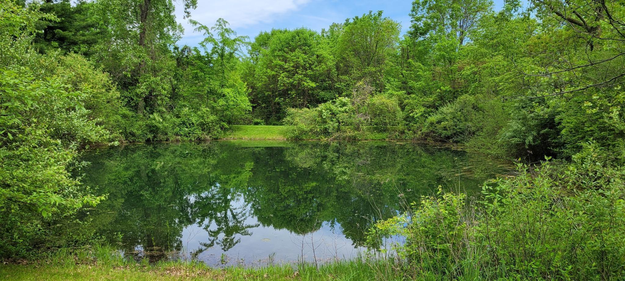 12858 Green Chapel Road Property Photo 24