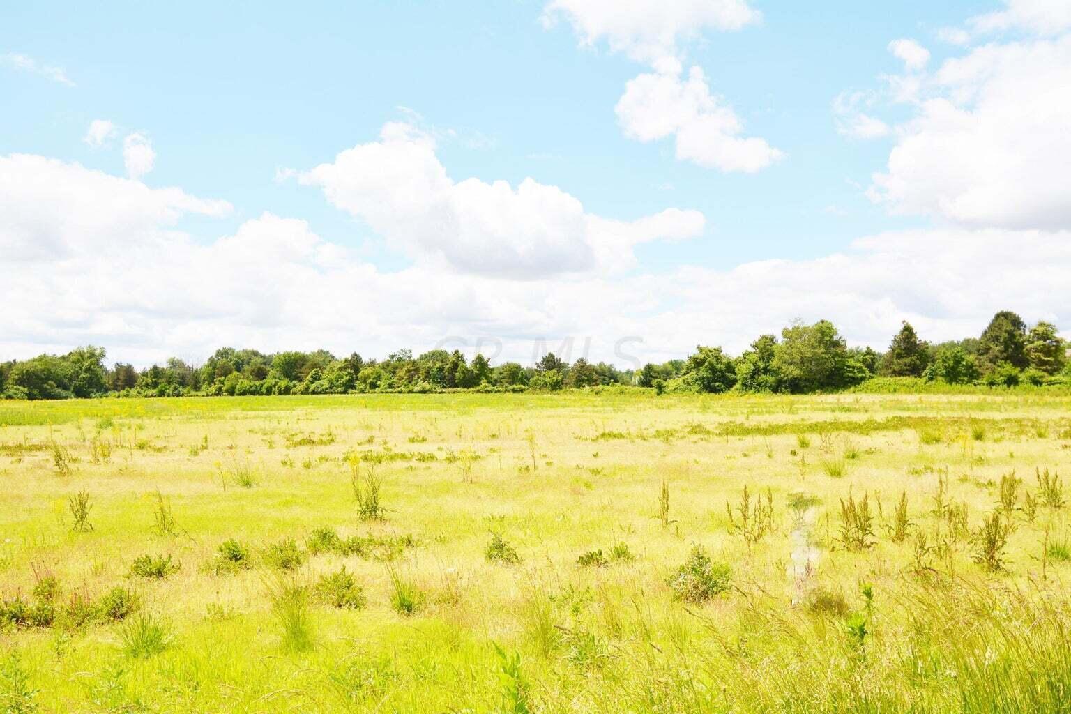 0004 Carters Corner Road Property Photo 4