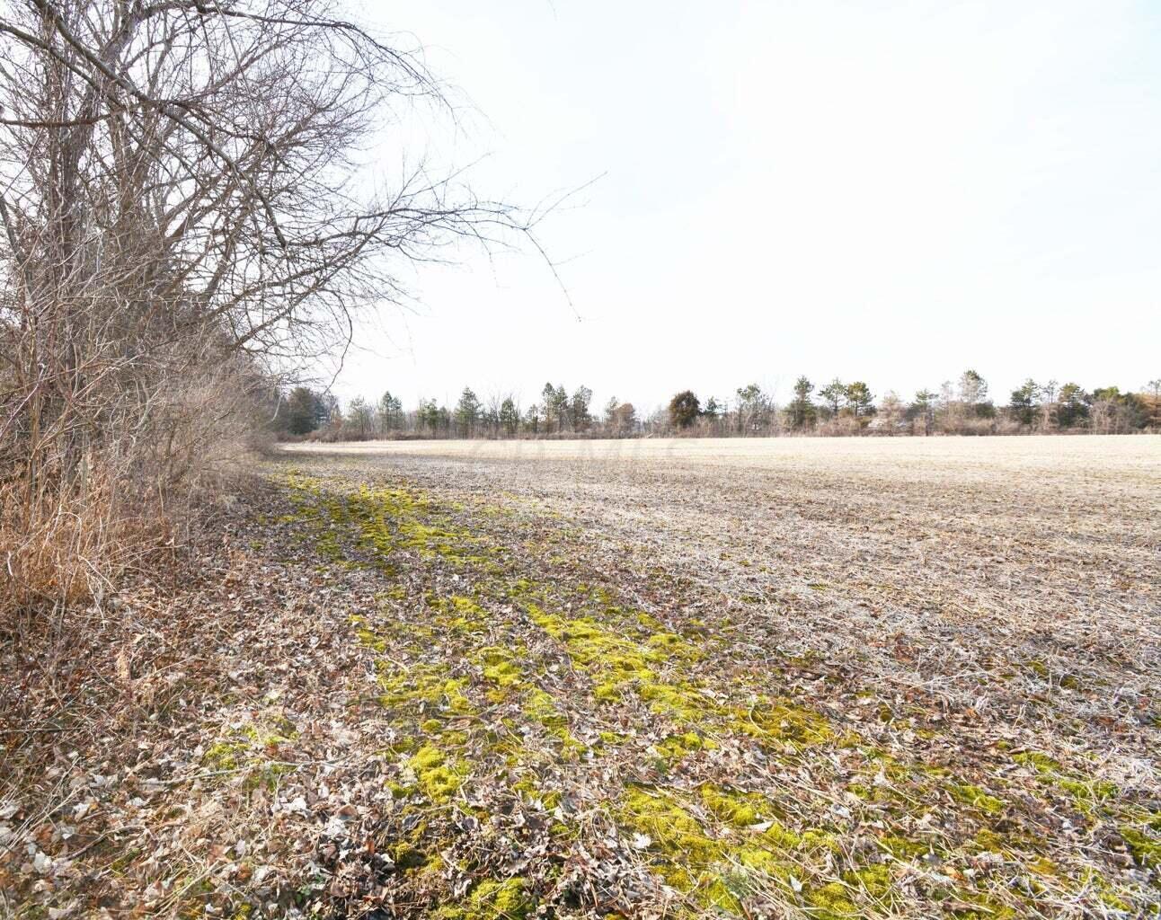 0004 Carters Corner Road Property Photo 10