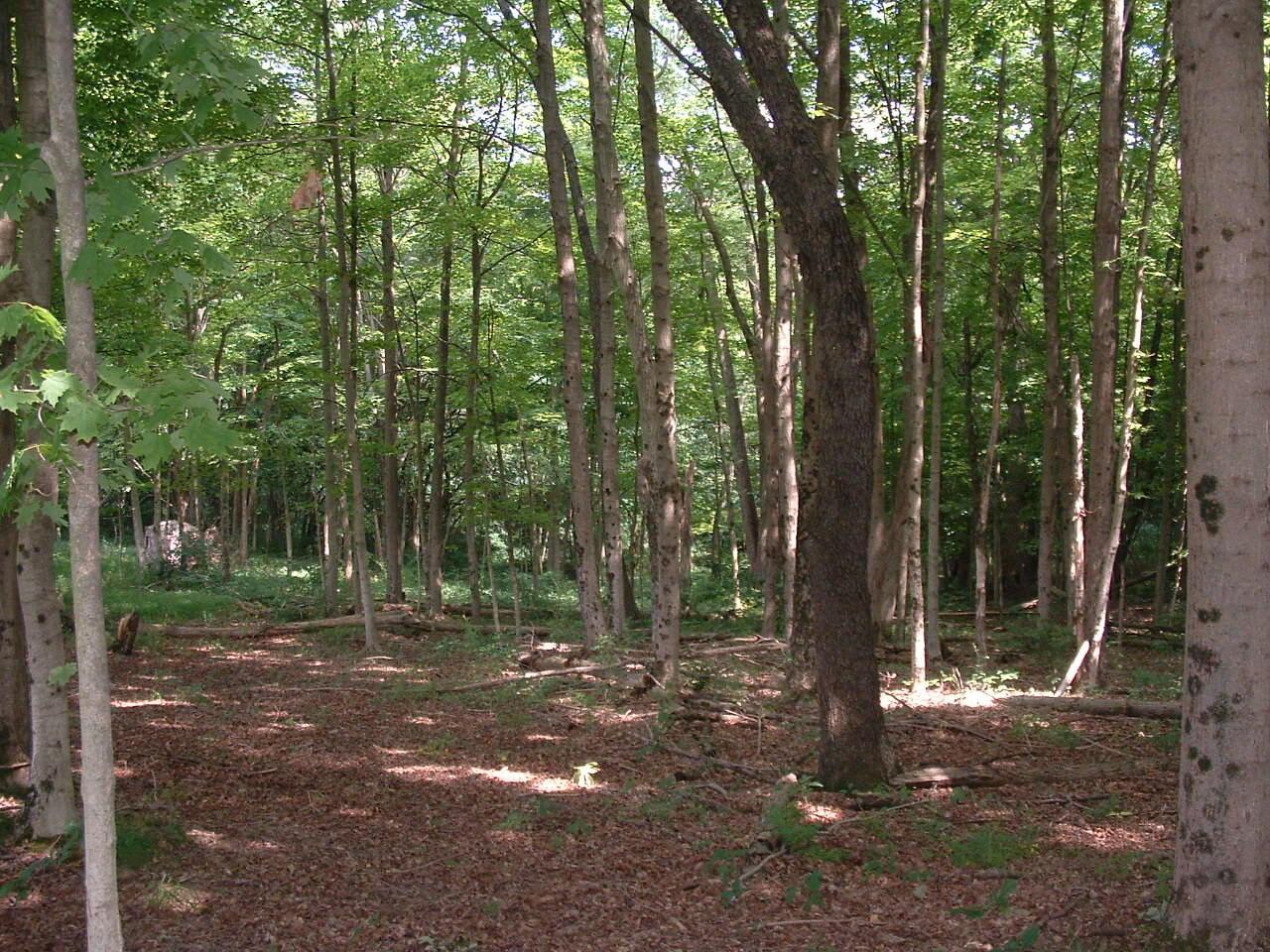 9311 Jug Road Nw Property Photo 37