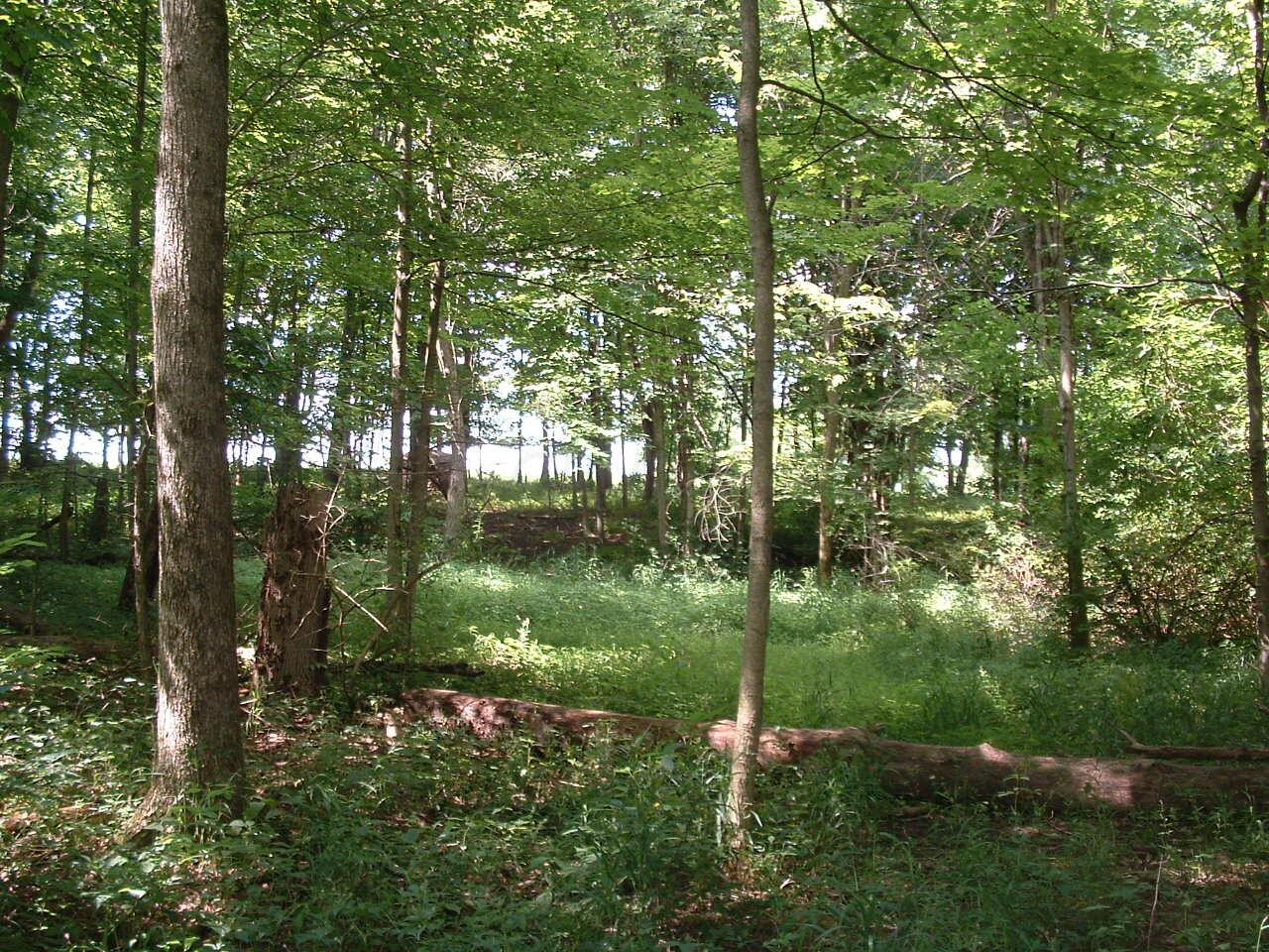 9311 Jug Road Nw Property Photo 45