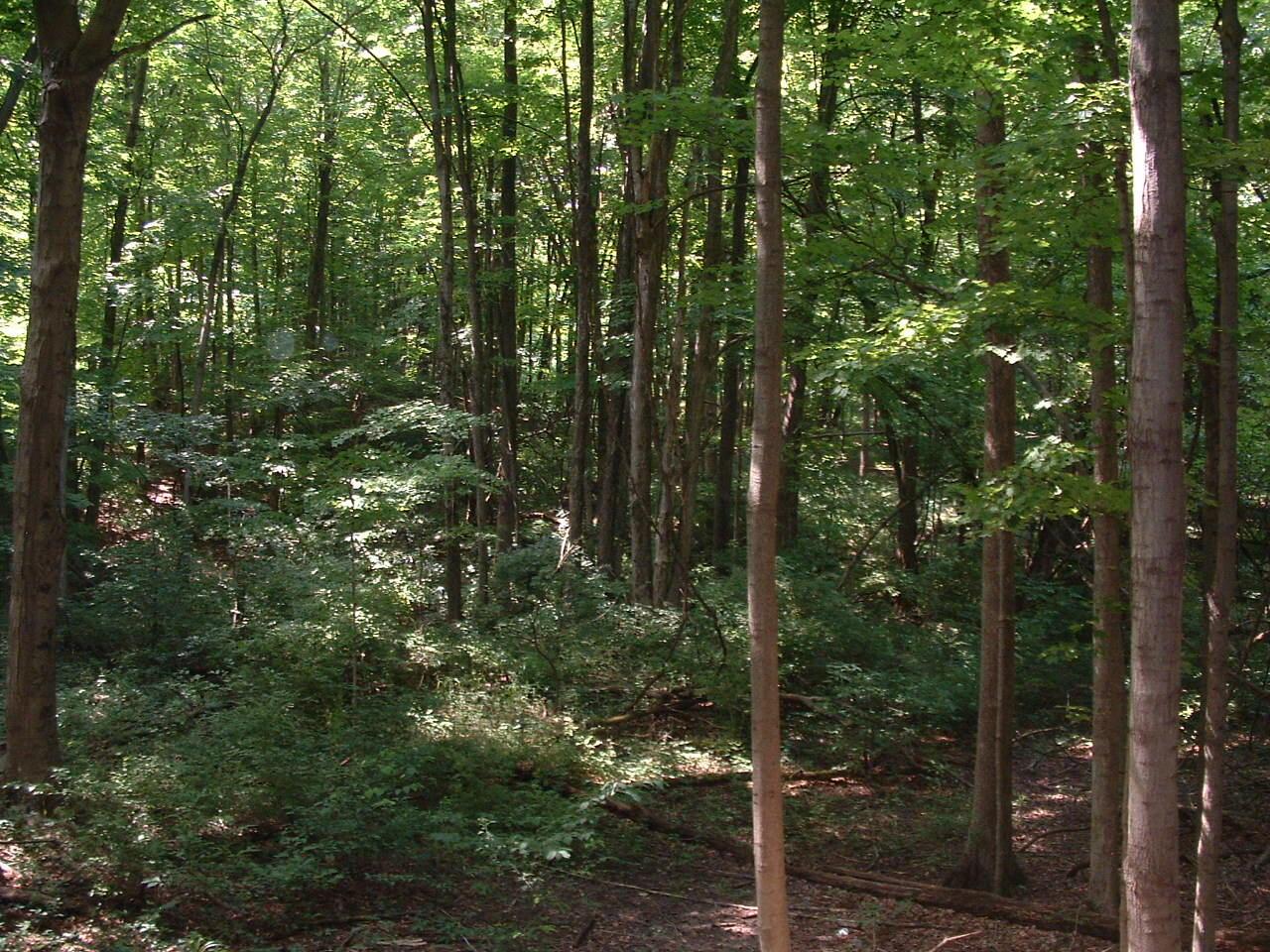 9311 Jug Road Nw Property Photo 71