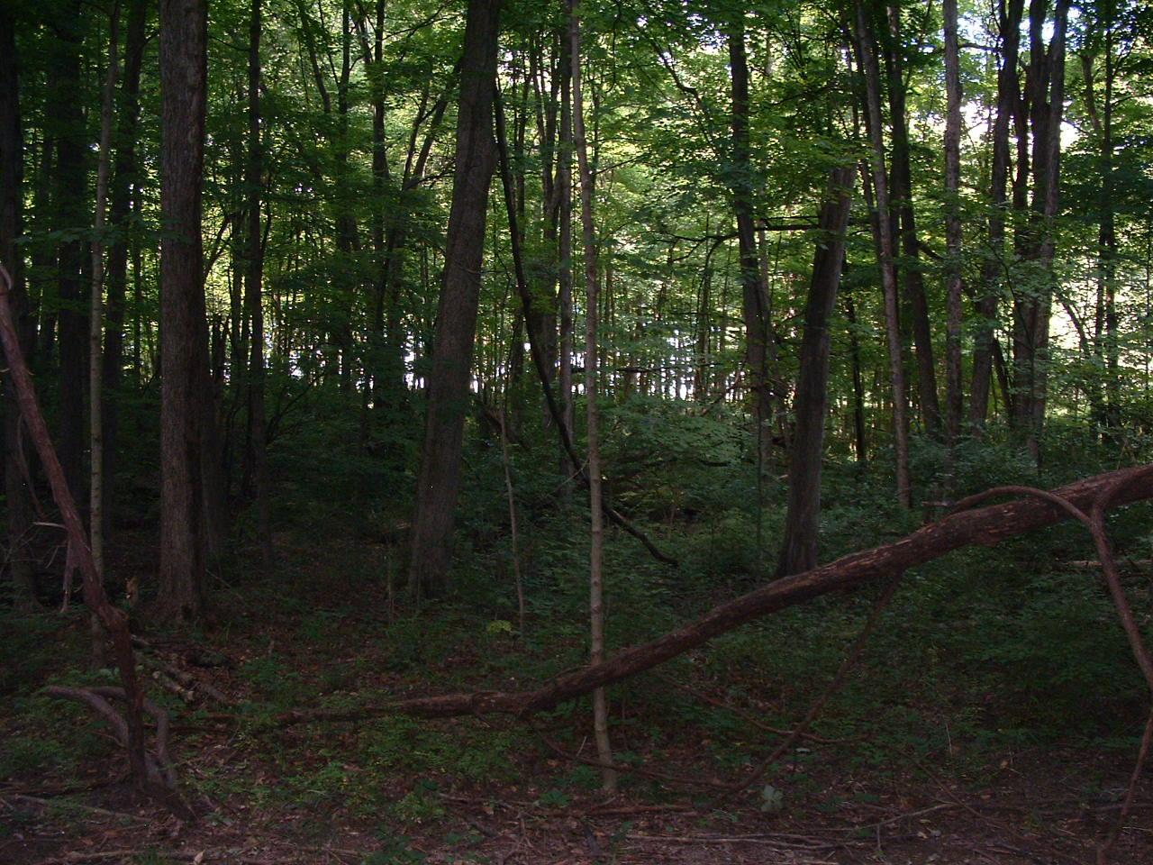 9311 Jug Road Nw Property Photo 73